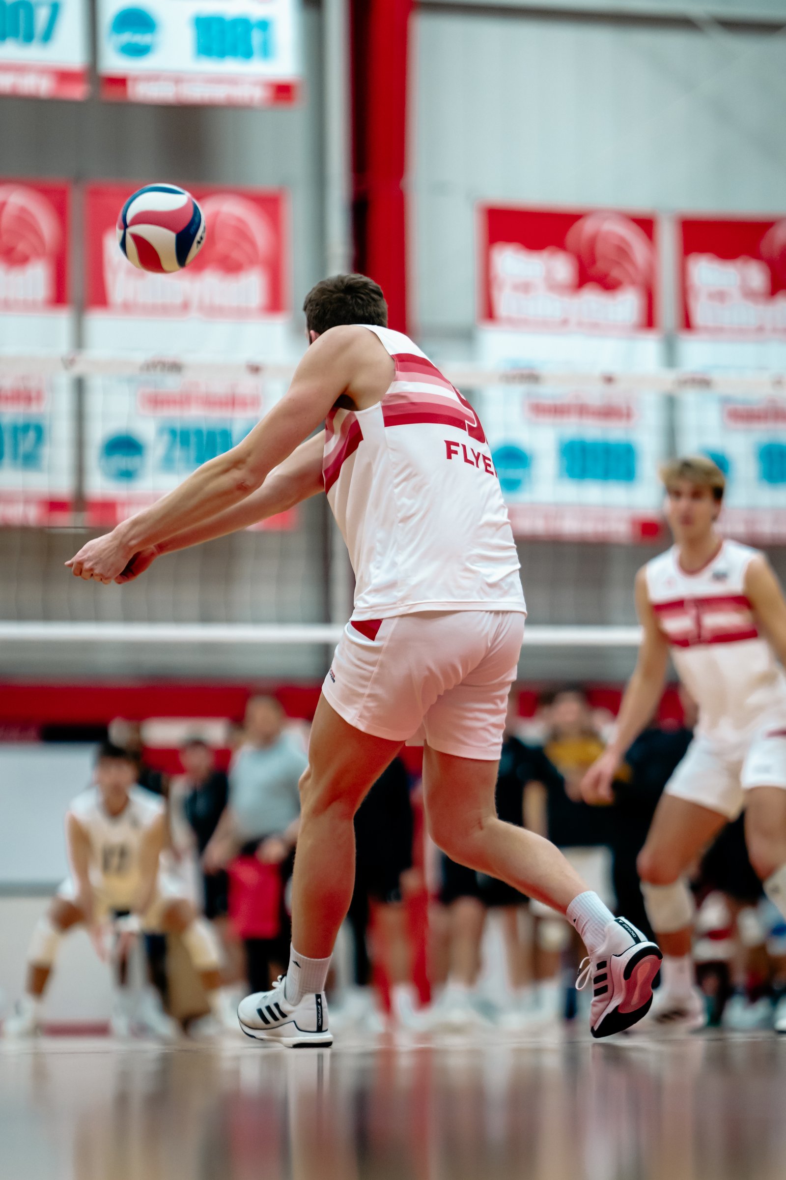 2024 Men's VB - Lewis vs Lindenwood