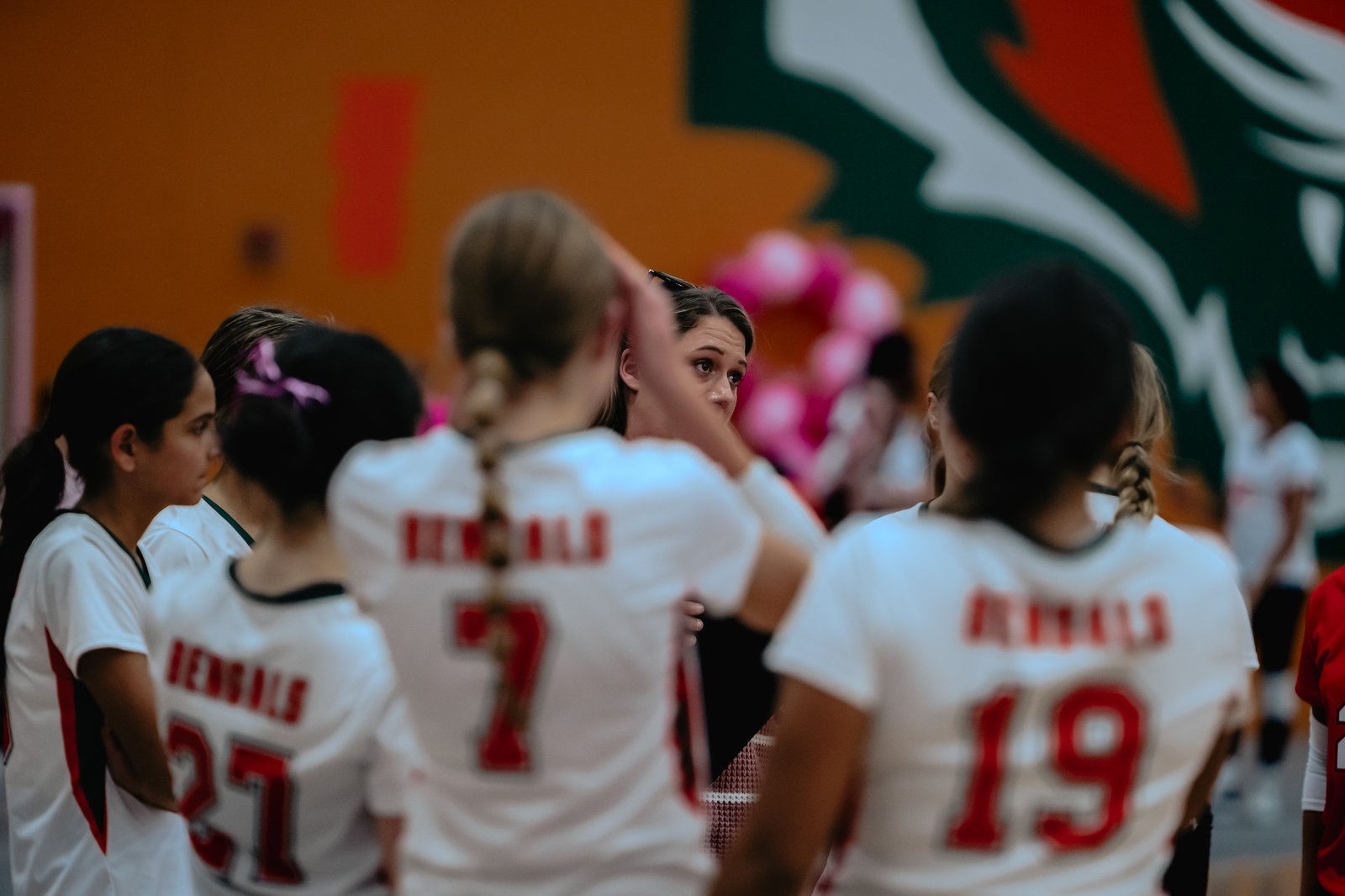 PEHS Girls VB - Dig Pink