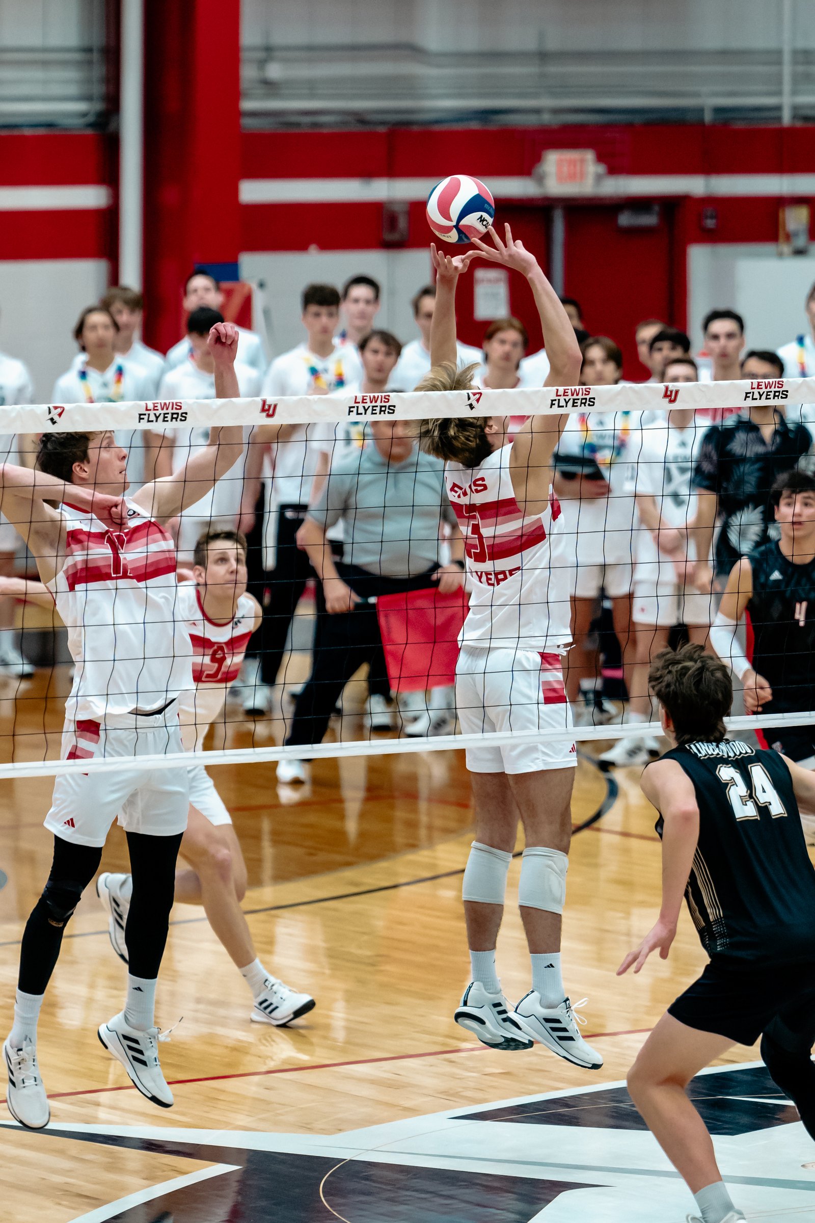 2024 Men's VB - Lewis vs Lindenwood