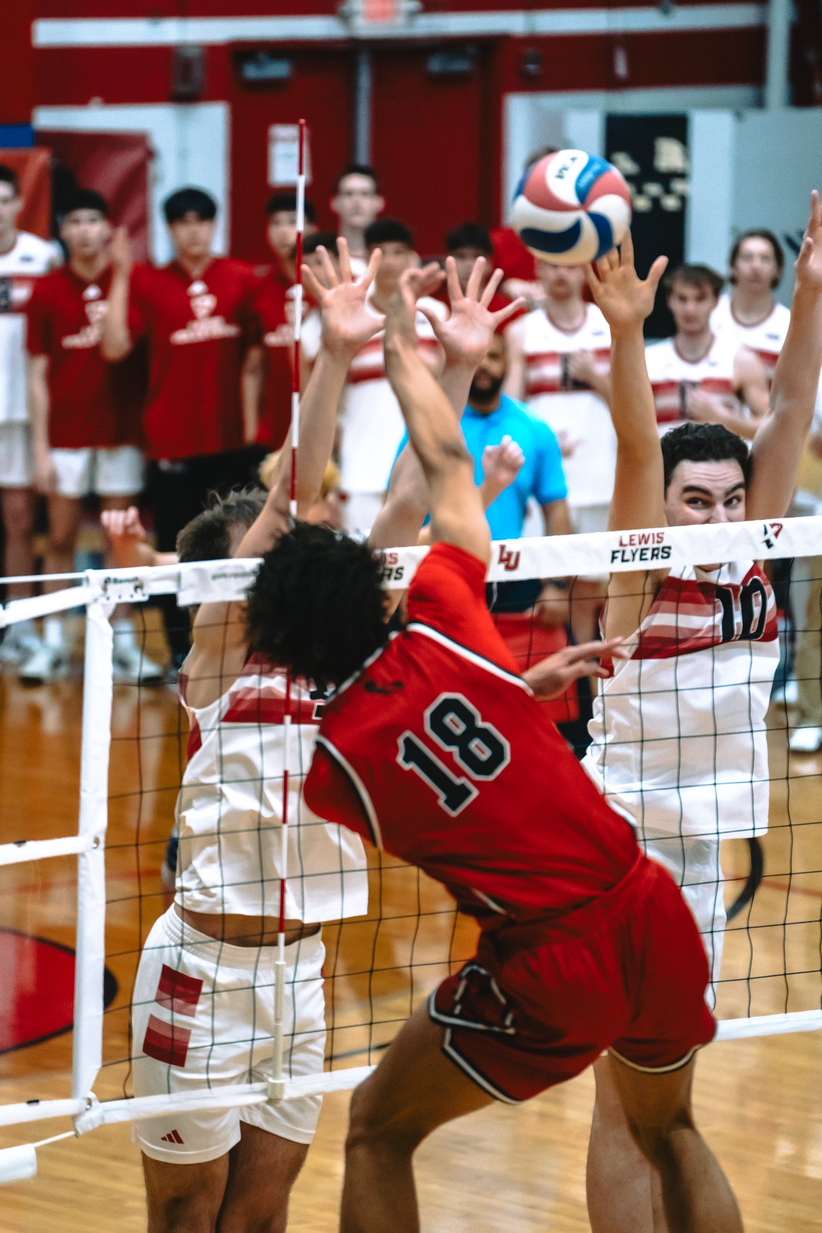 Lewis Flyers vs CSUN