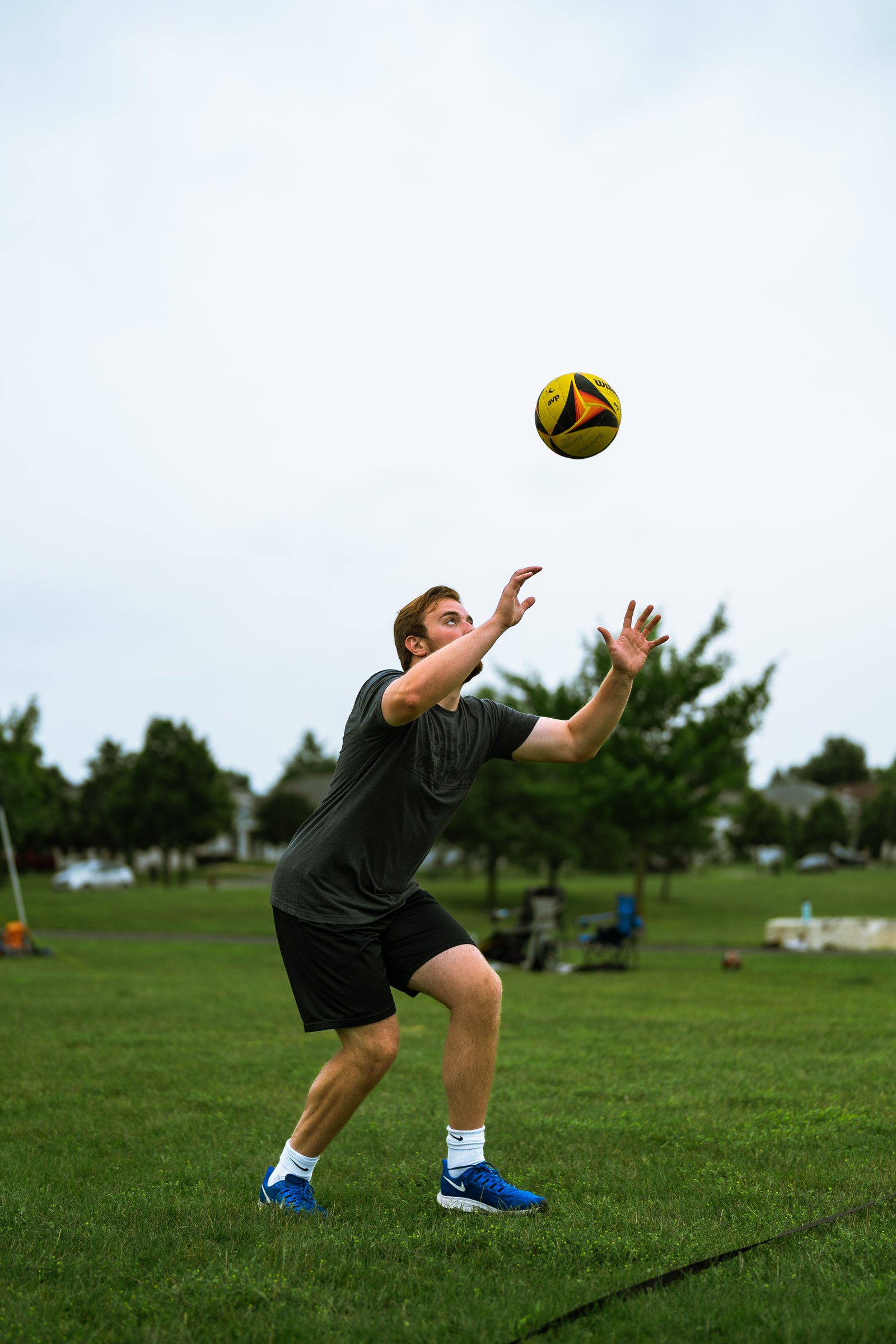 Bell Pepper Open – Official Gallery - Jan 1