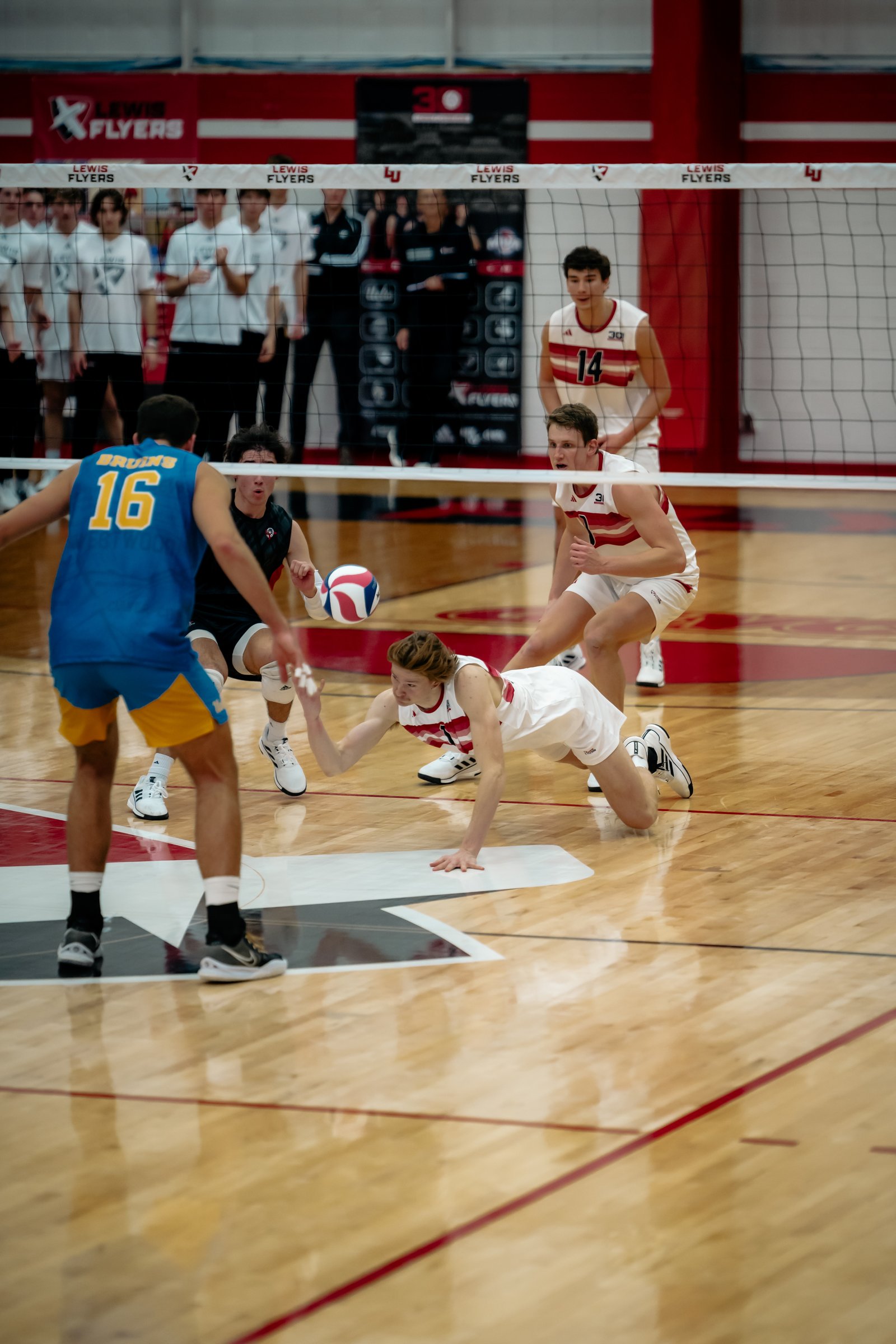 2024 Men's VB - Lewis vs UCLA 11-Jan