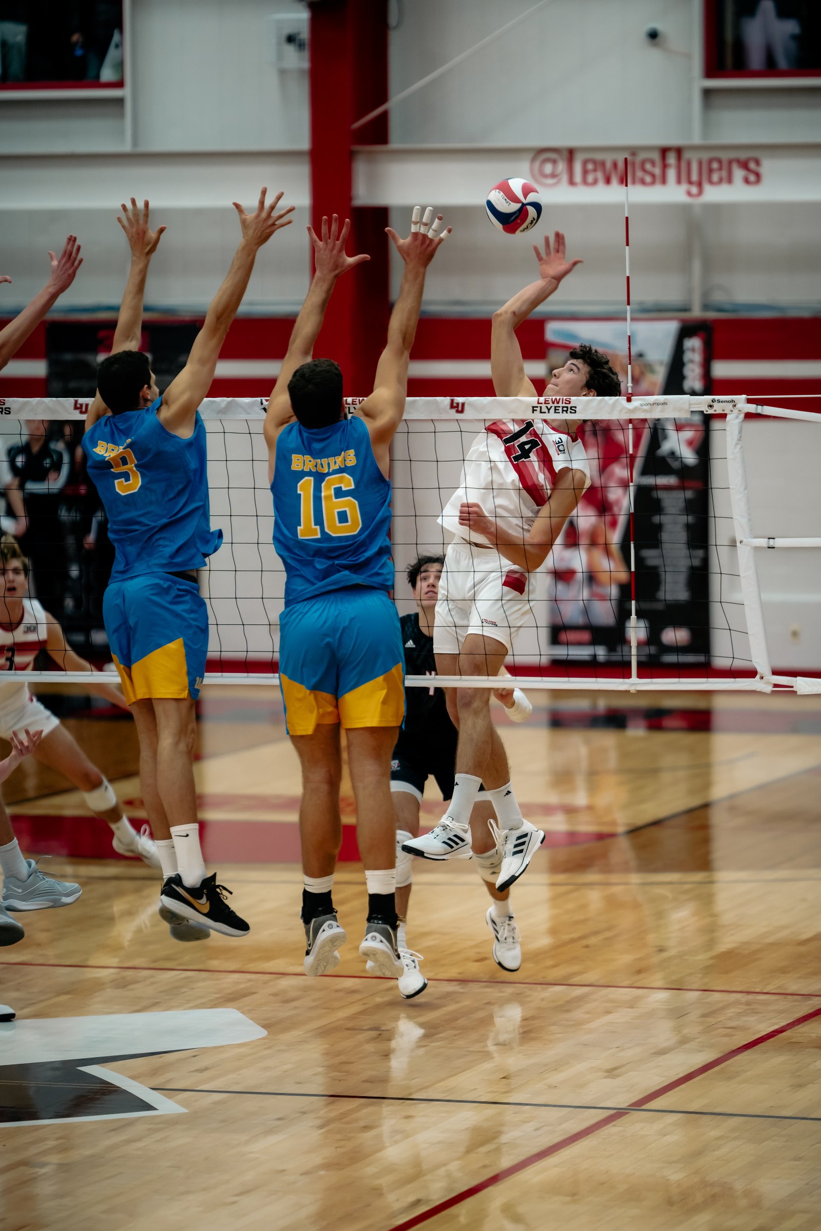 2024 Men's VB - Lewis vs UCLA 11-Jan