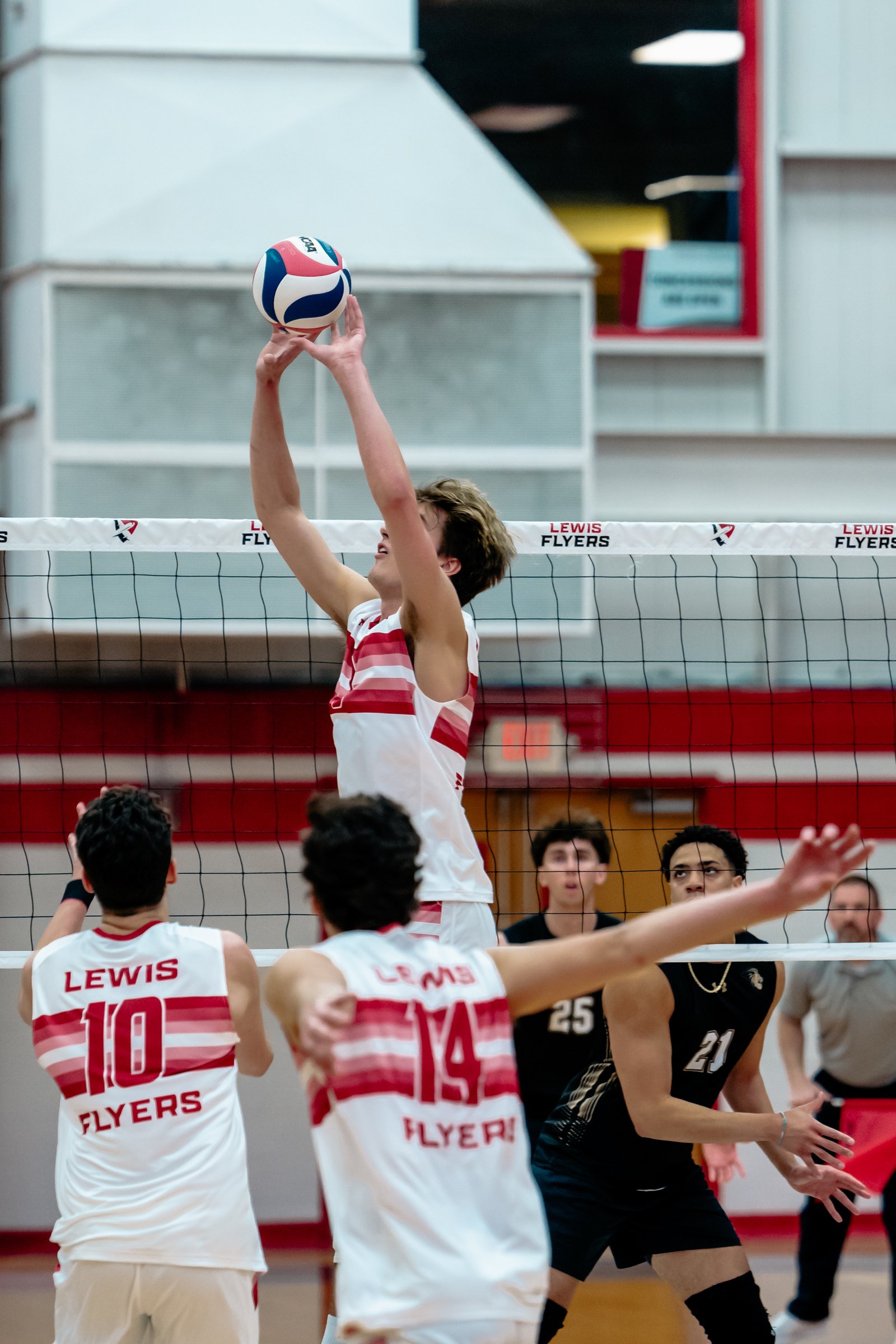 2024 Men's VB - Lewis vs Lindenwood