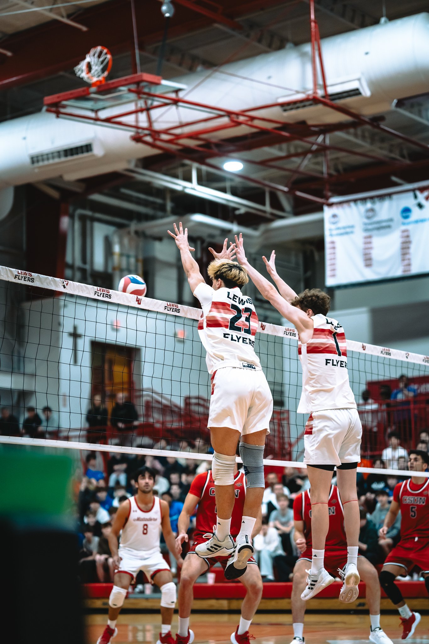 Lewis Flyers vs CSUN