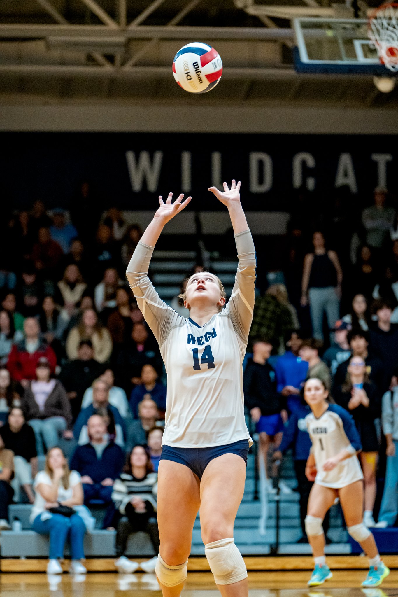 West Chicago Volleyball 17-Oct - Oct 18