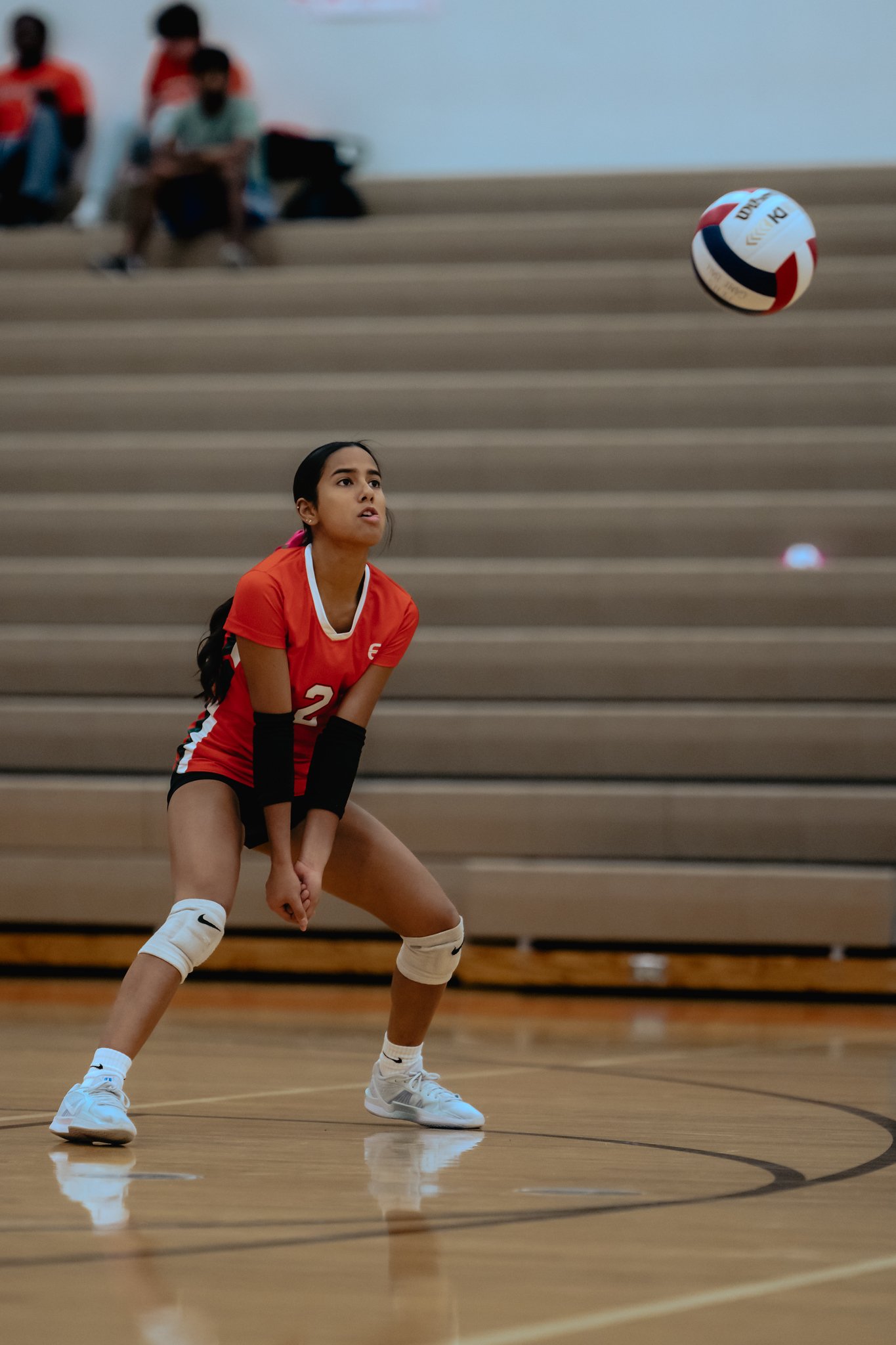PEHS Girls VB - Dig Pink