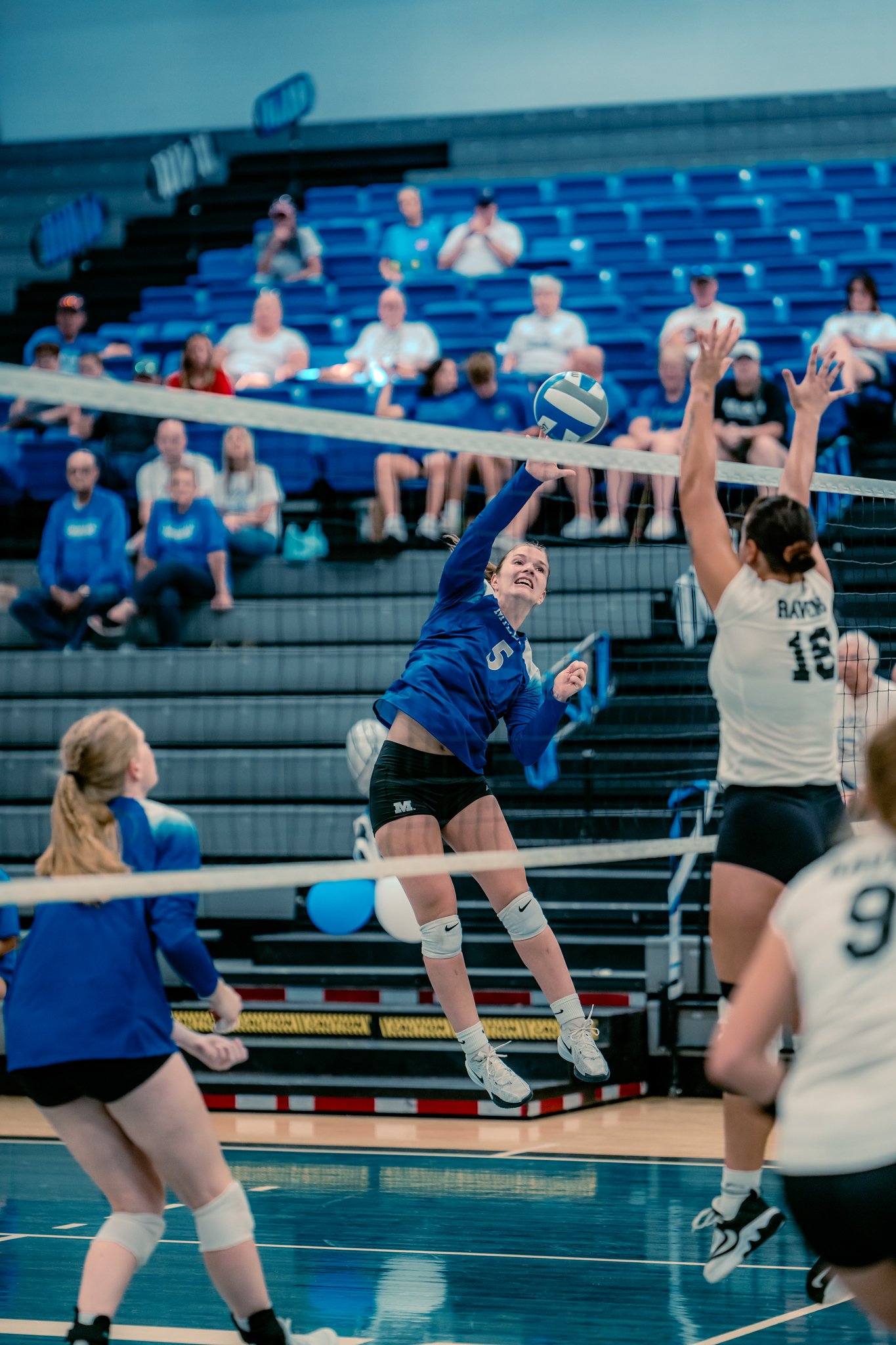 Millikin Women's Volleyball Senior