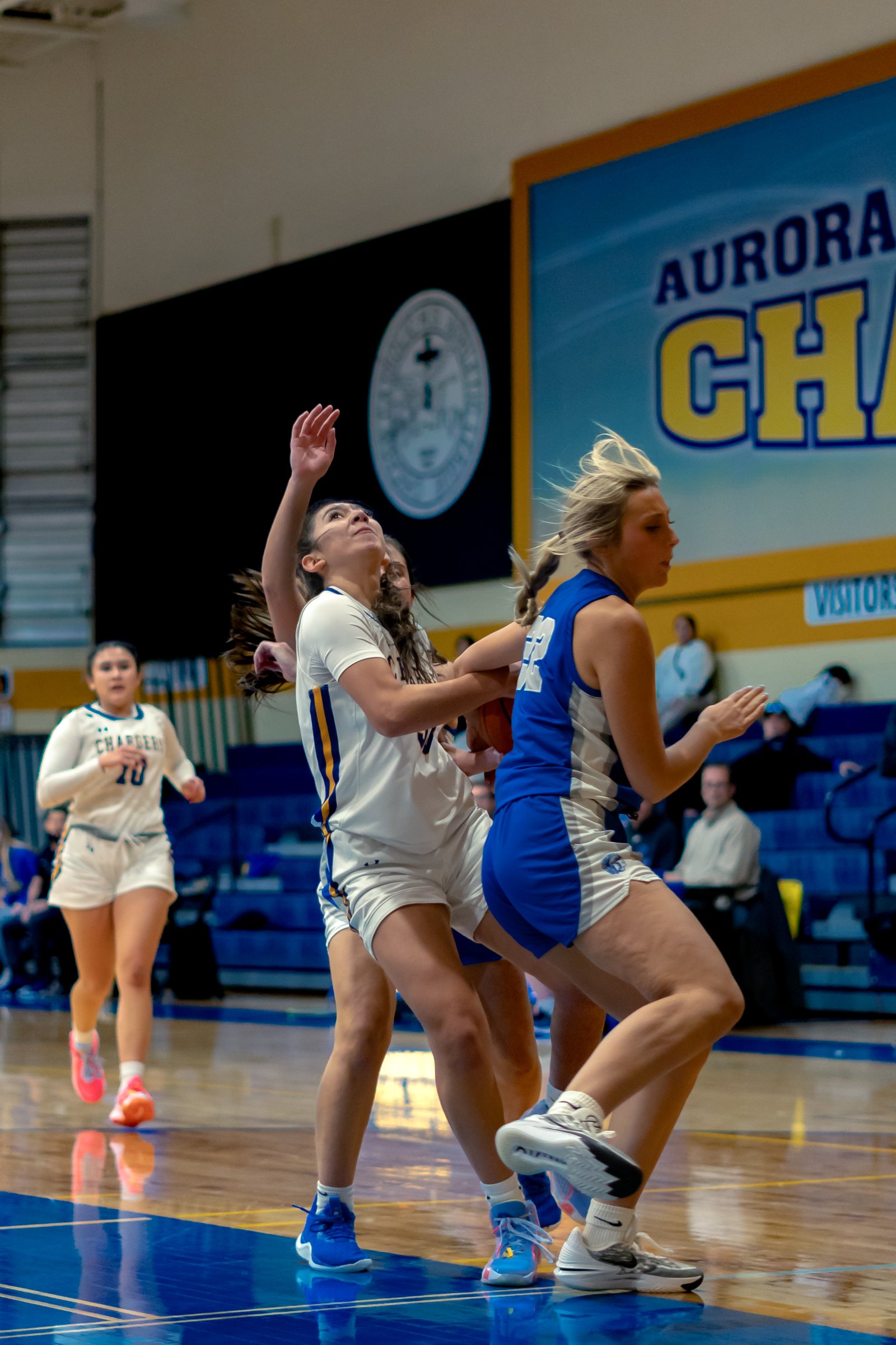 ACC Girl's Basketball 28-Nov - Nov 30