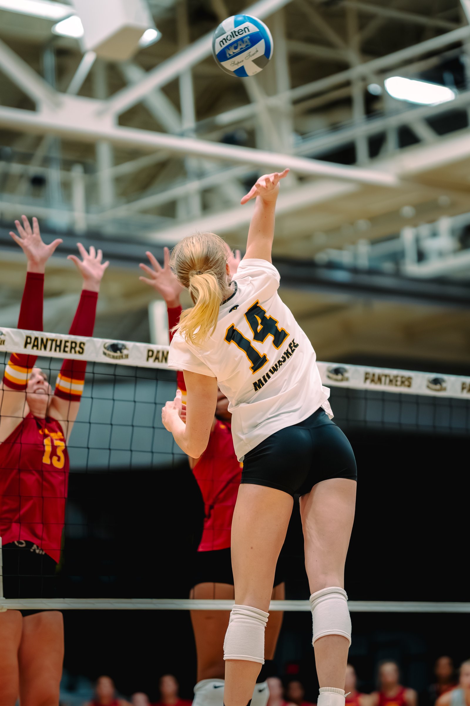 UW-Milwaukee Panther Invite