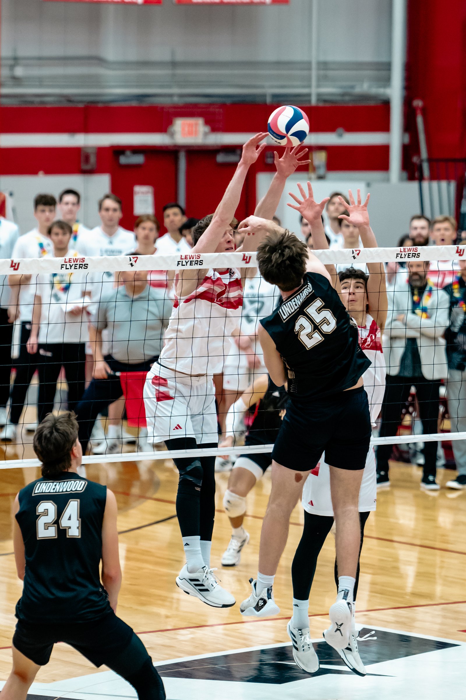 2024 Men's VB - Lewis vs Lindenwood