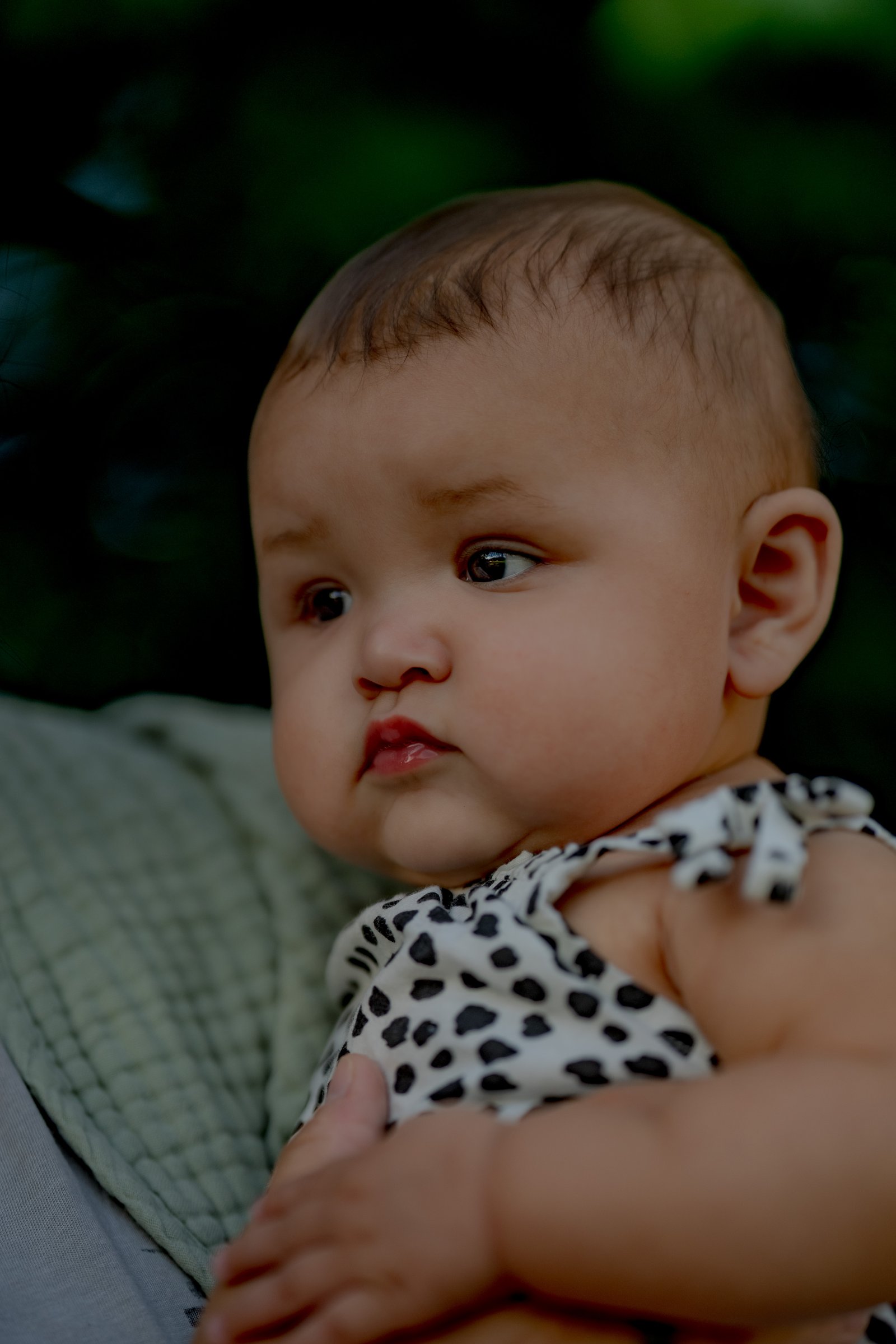 A baby in a black and white spotted outfit looks to the side, held by someone wearing a green quilted blanket.