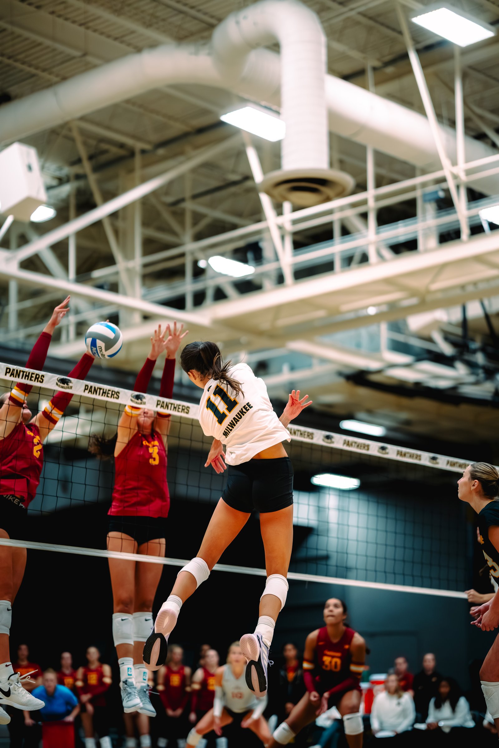 UW-Milwaukee Panther Invite