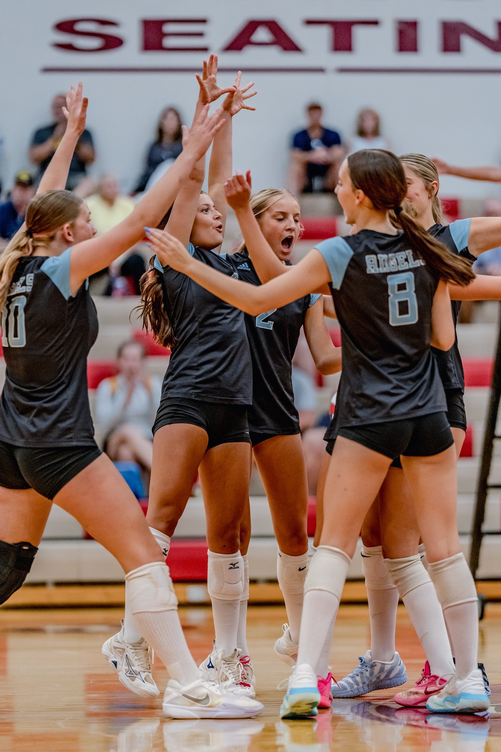 Players in black and light blue jerseys celebrate with hands raised on the court, with one player in jersey number 2 shouting.