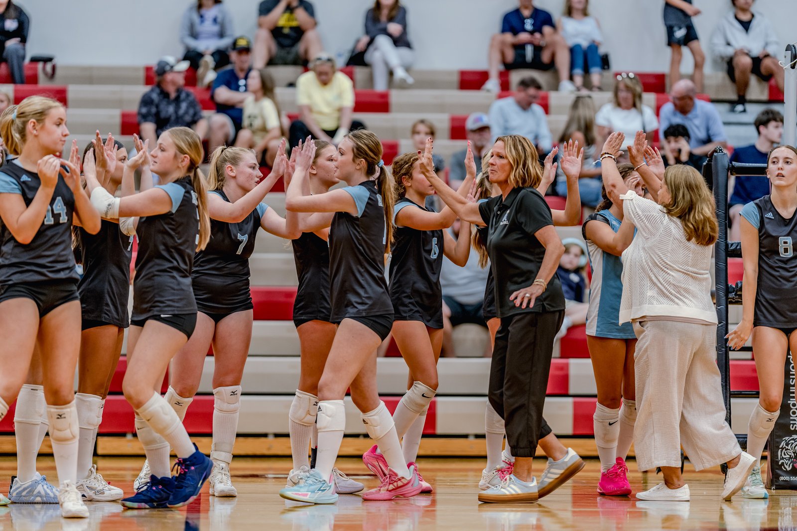 Players in black and light blue jerseys high-five on the court during a volleyball game.