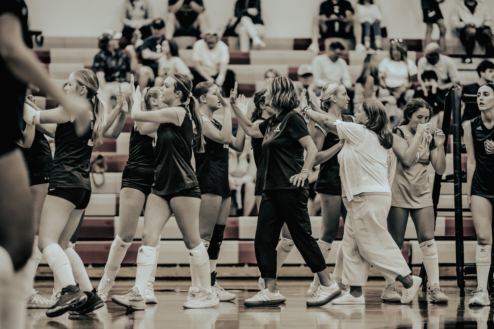 Players in black and white uniforms high-five on the court with spectators in the background.