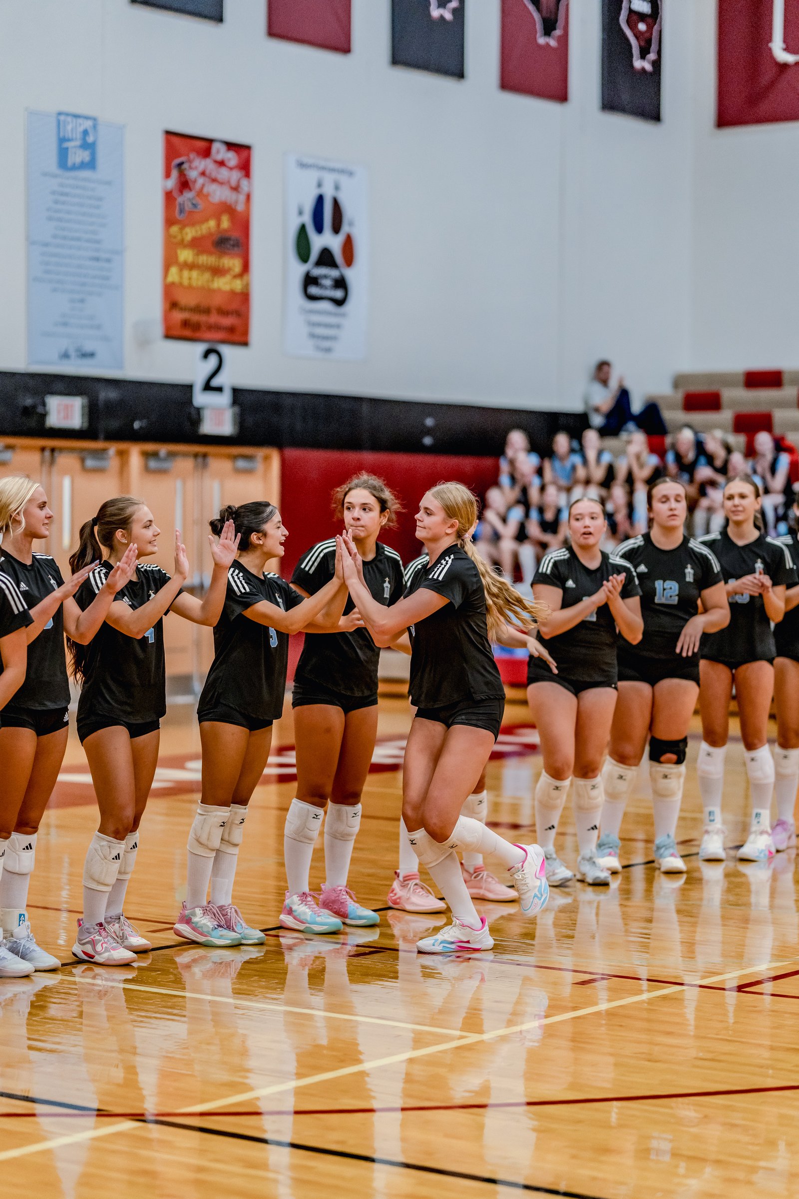 Players in black jerseys high-five on the court, with spectators in the background.