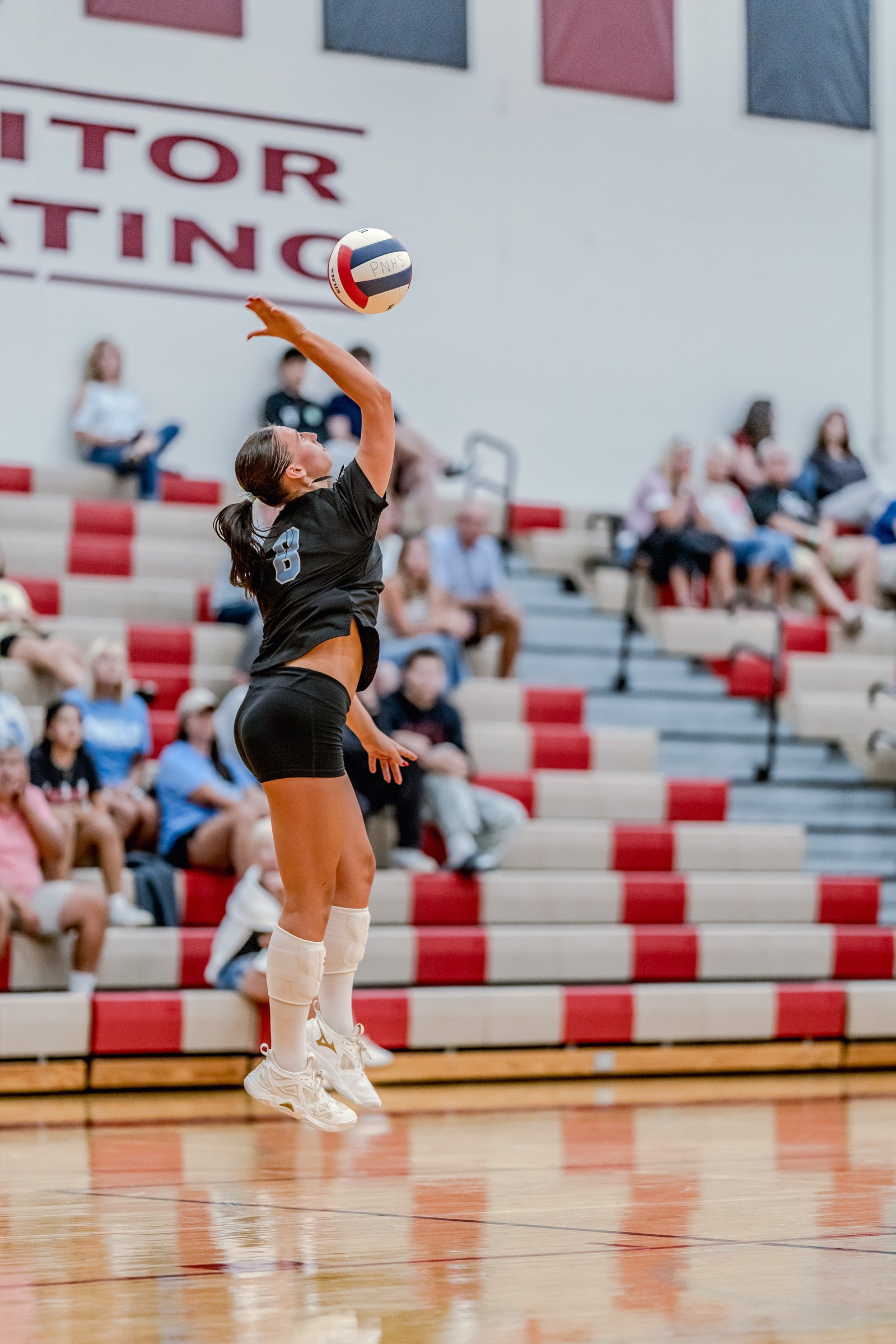 A player in a black jersey with number 8 serves a volleyball in a gymnasium with spectators in the background.