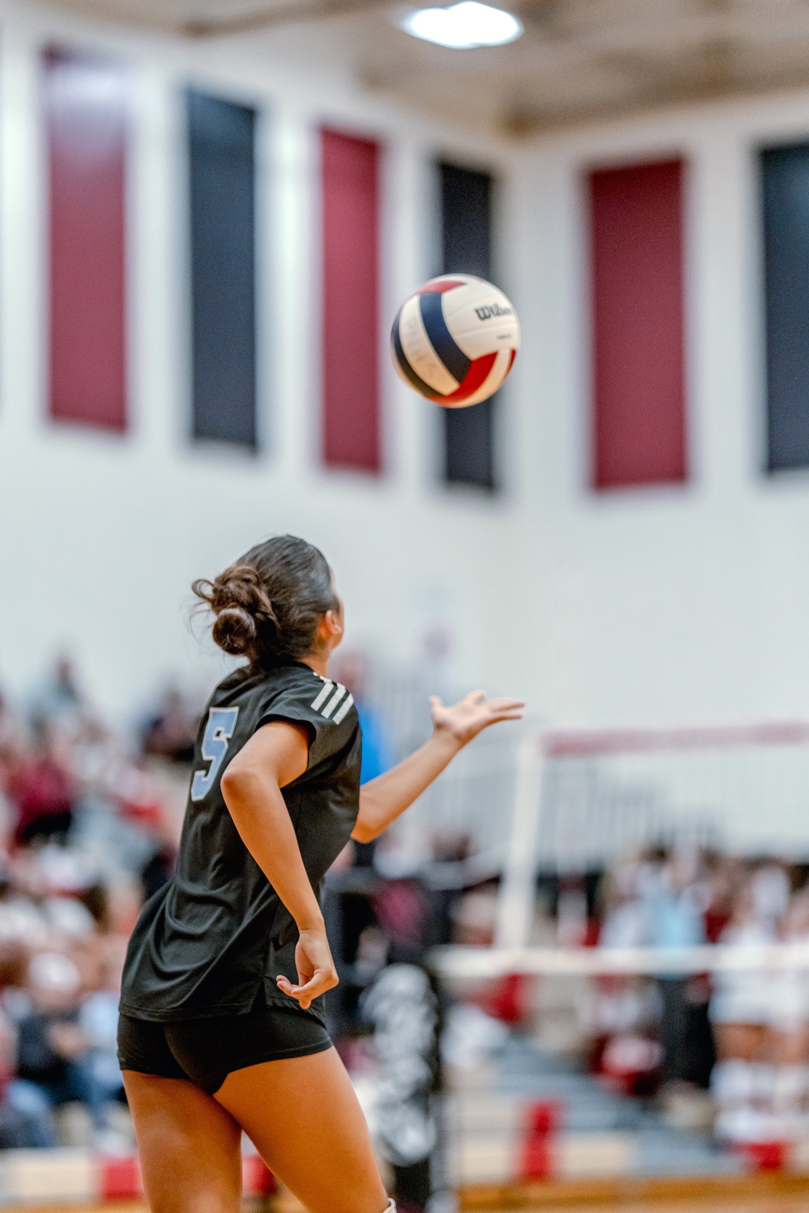 A player in a black jersey with blue number 5 prepares to hit a volleyball in a gymnasium.
