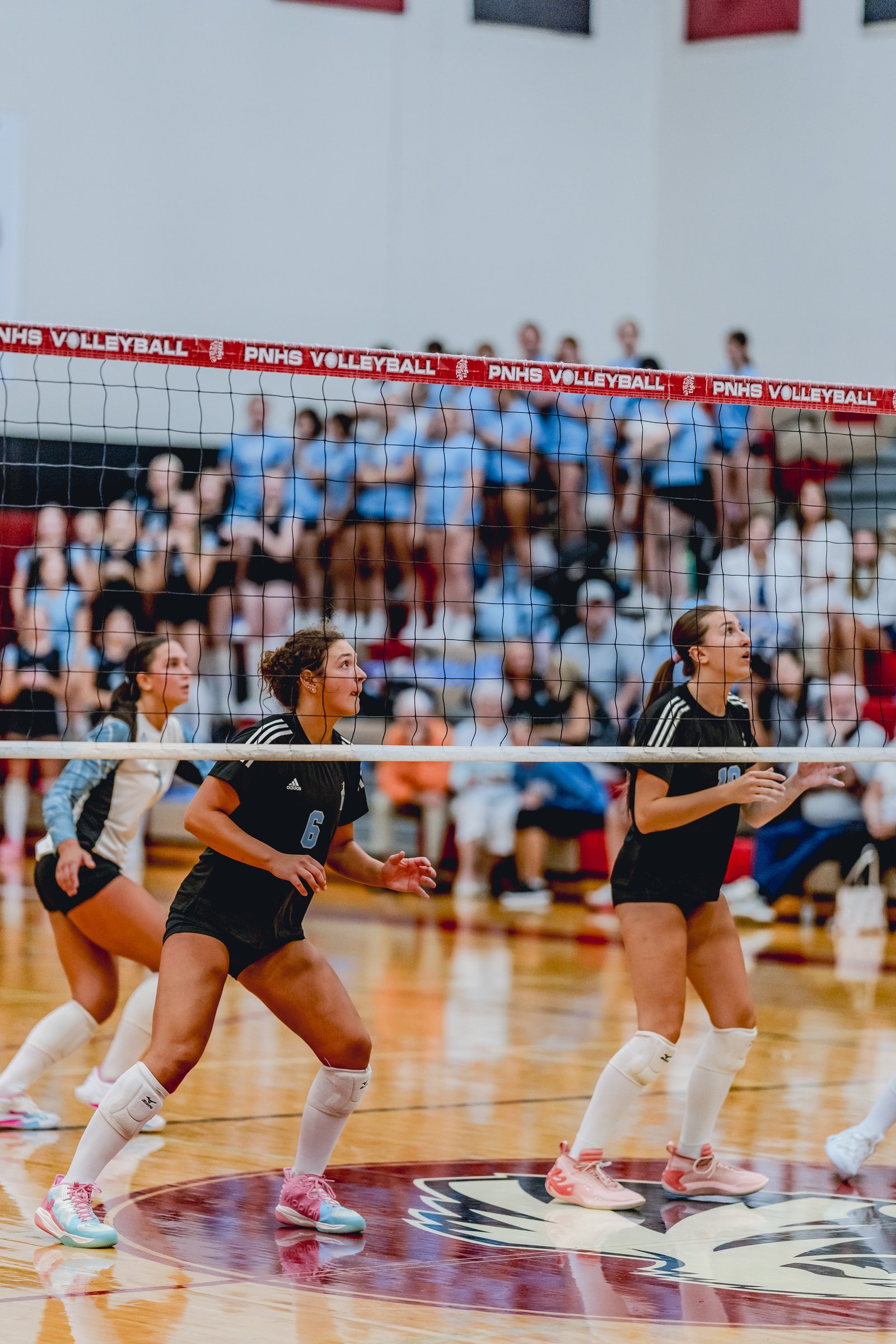 Players in black and light blue jerseys prepare for action on the volleyball court, with spectators in the background.