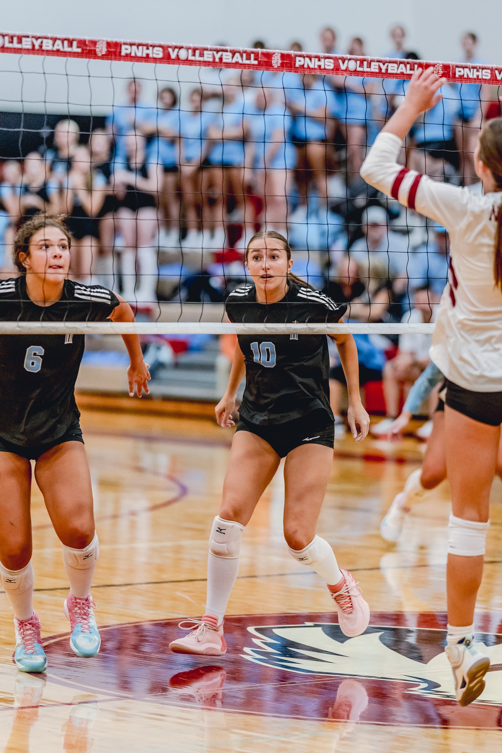 Players in black and white jerseys react during a volleyball game, with a net and spectators in the background.