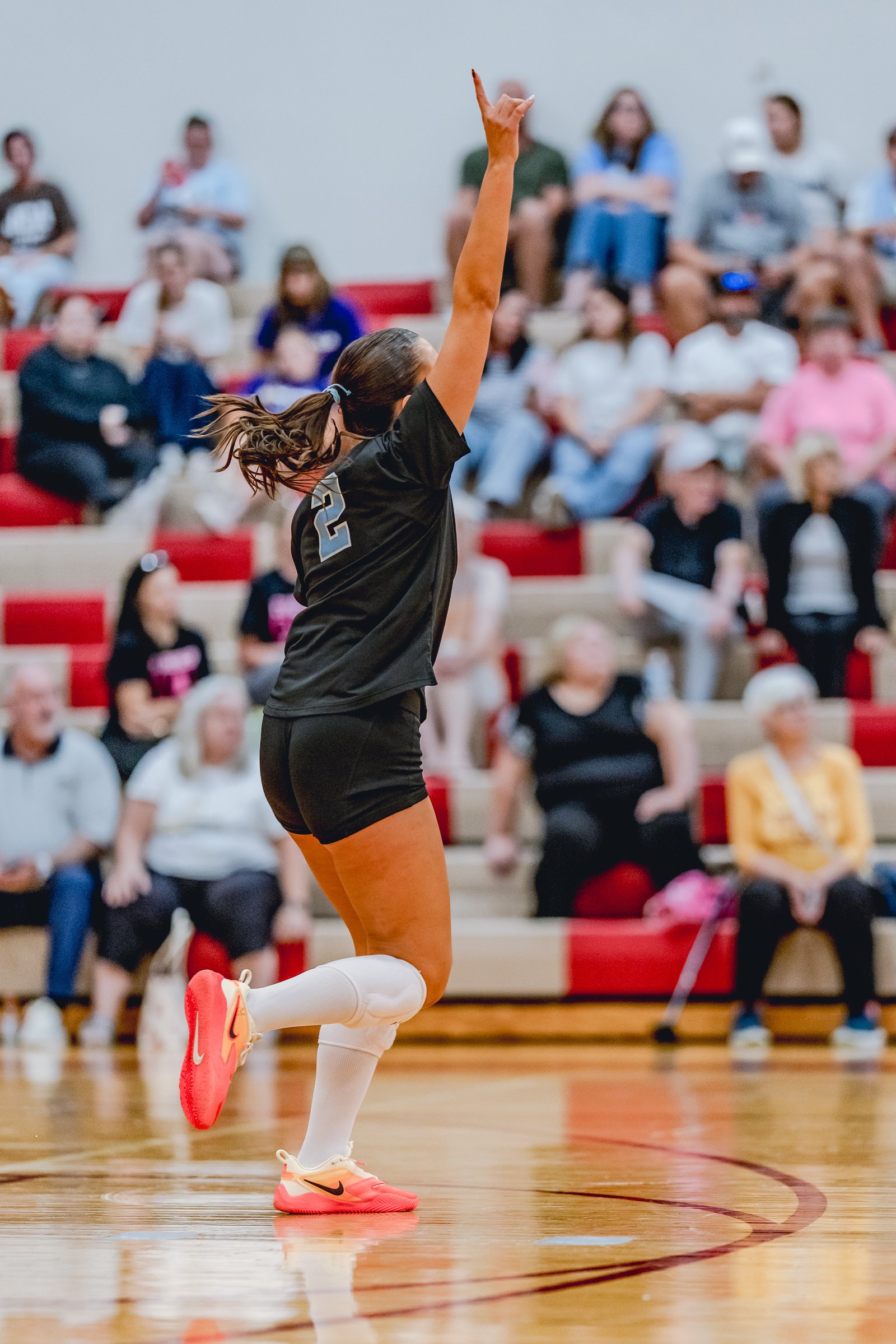 A player in a black jersey with number 2 jumps to serve the volleyball in a gymnasium with spectators.