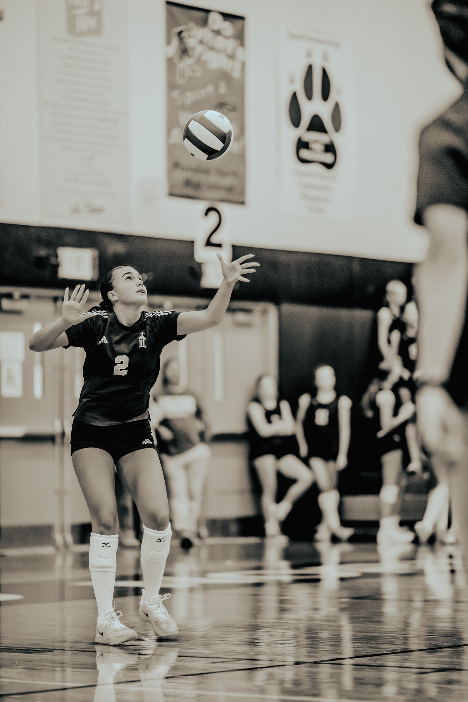 A player in a black jersey with number 2 prepares to serve a volleyball in a gymnasium.