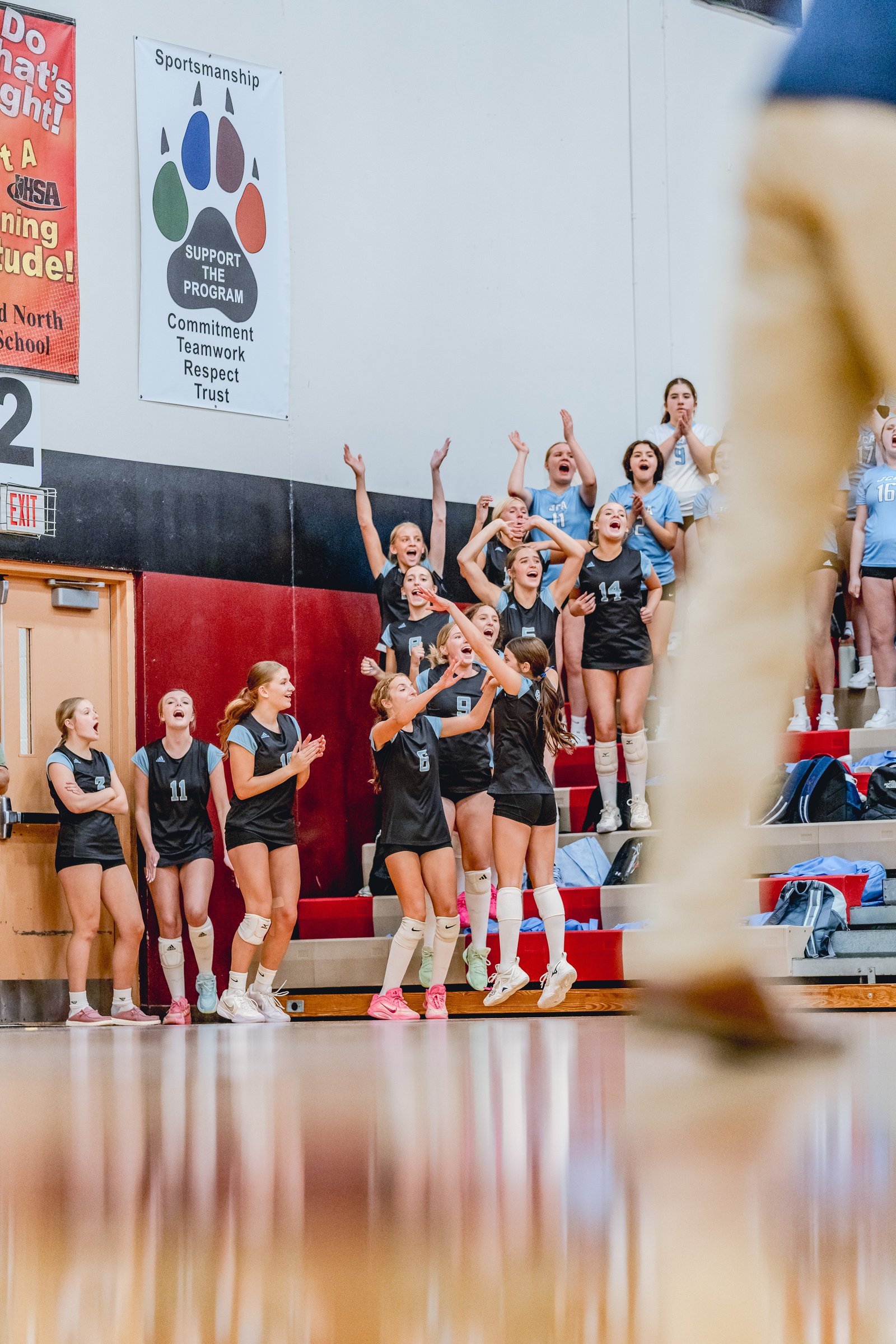 Players in black and blue jerseys cheer from the bleachers, with some jumping and raising their arms. Visible jersey numbers include 2, 11, 14, 16, and 17.