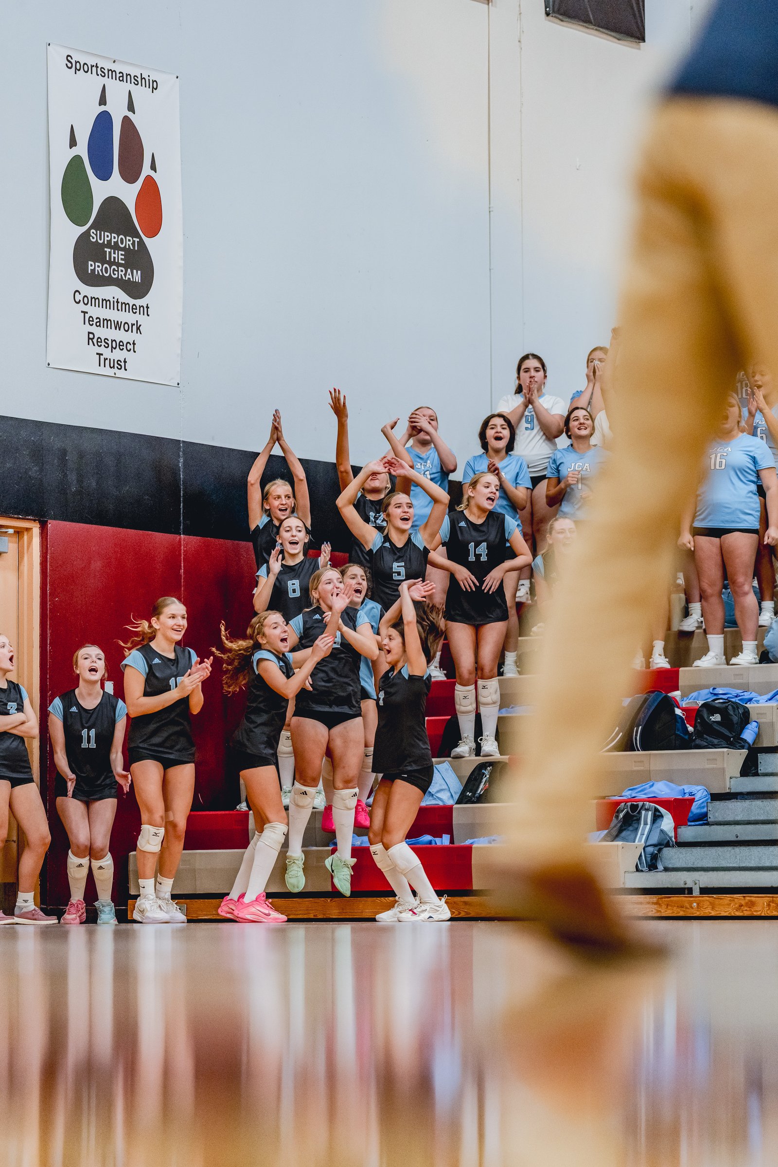 Players in black and light blue jerseys cheer from the bleachers, with one player in a black jersey jumping.