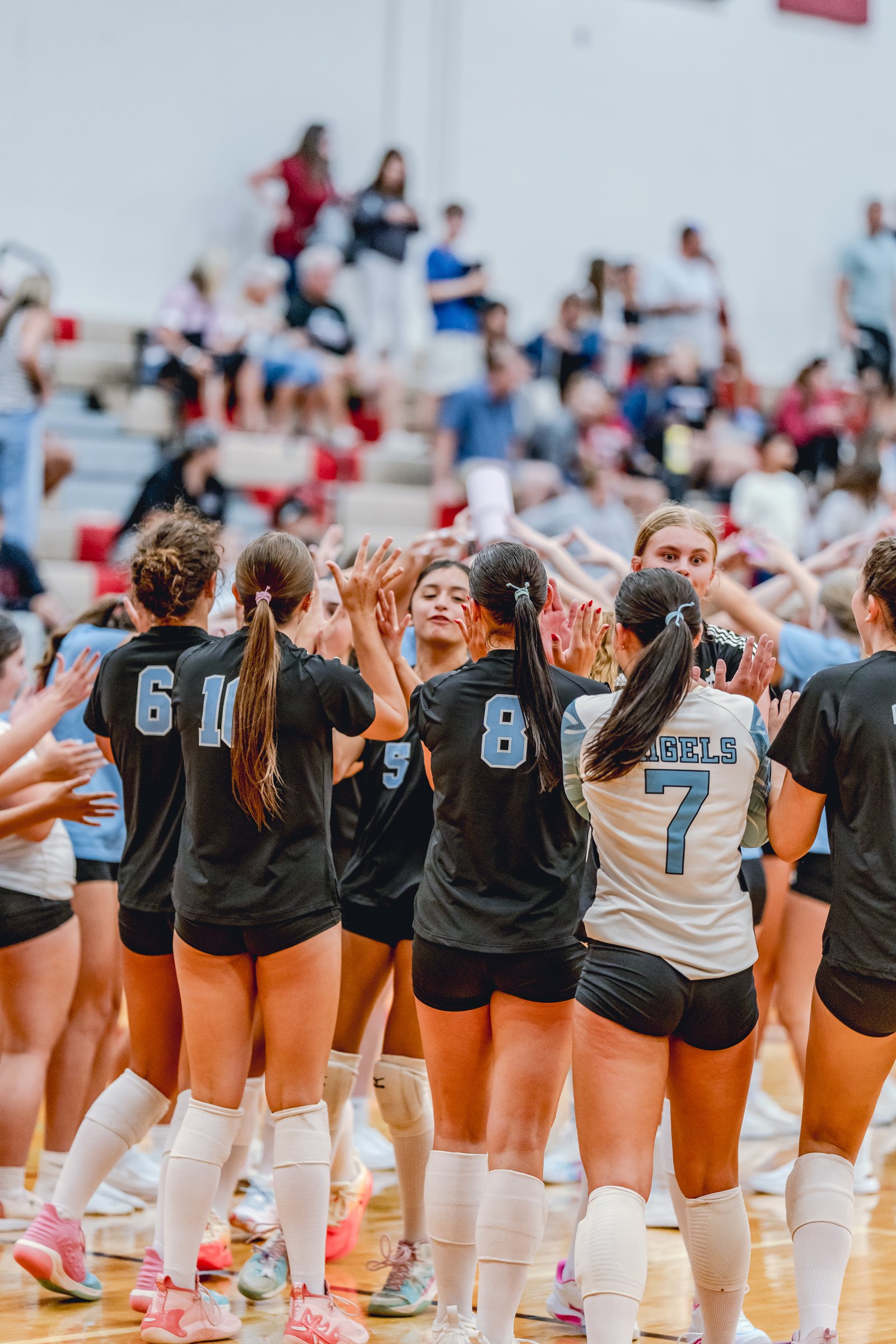 Players in black and white jerseys high-five during a volleyball game, with spectators in the background.