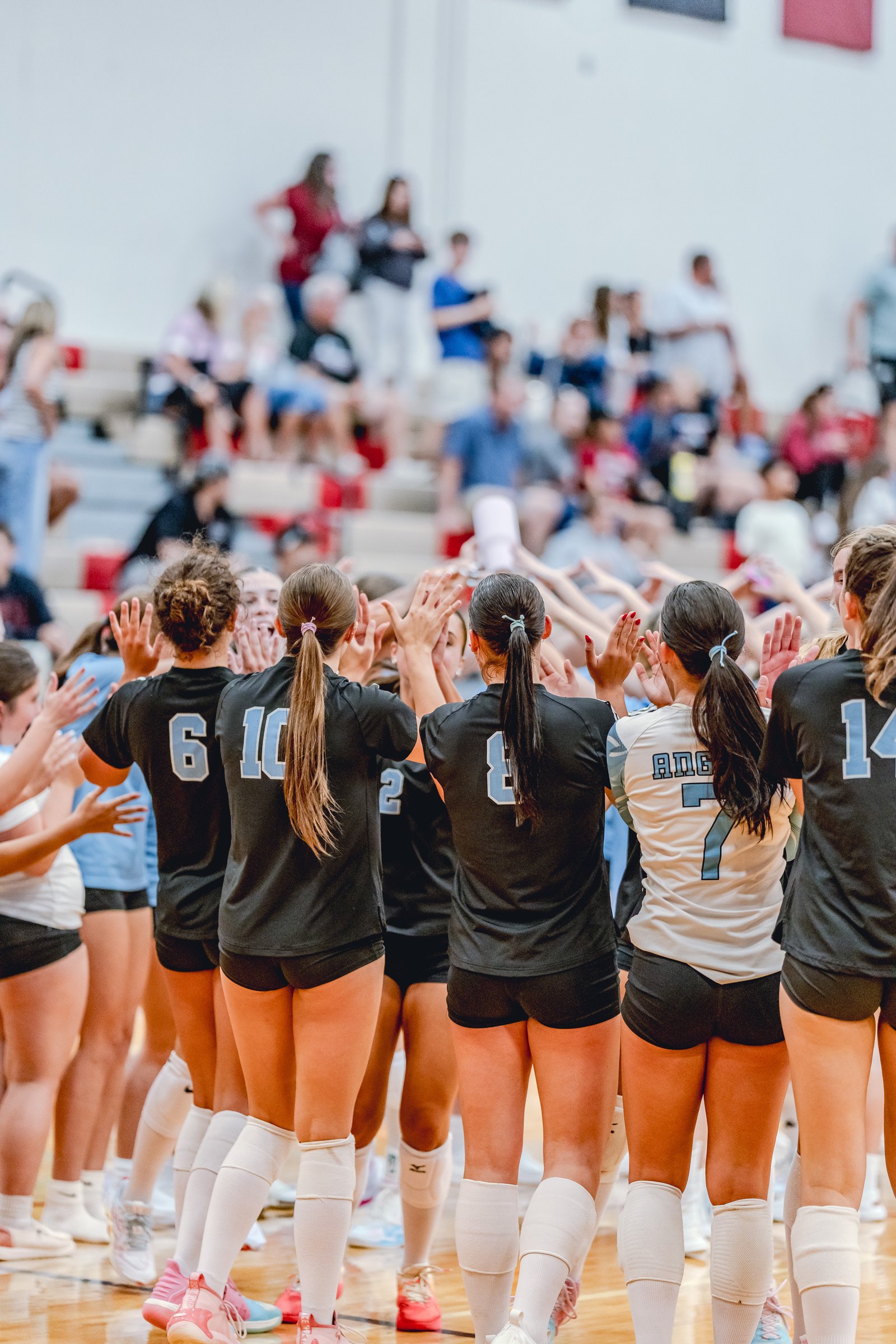Players in black and white jerseys high-five on the court with spectators in the background.