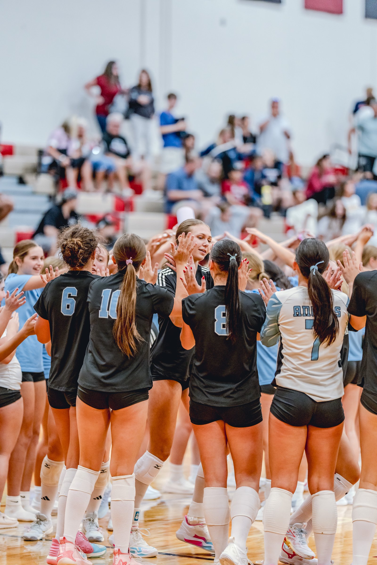 Players in black and light blue jerseys huddle together on the court, clapping hands during a volleyball game.