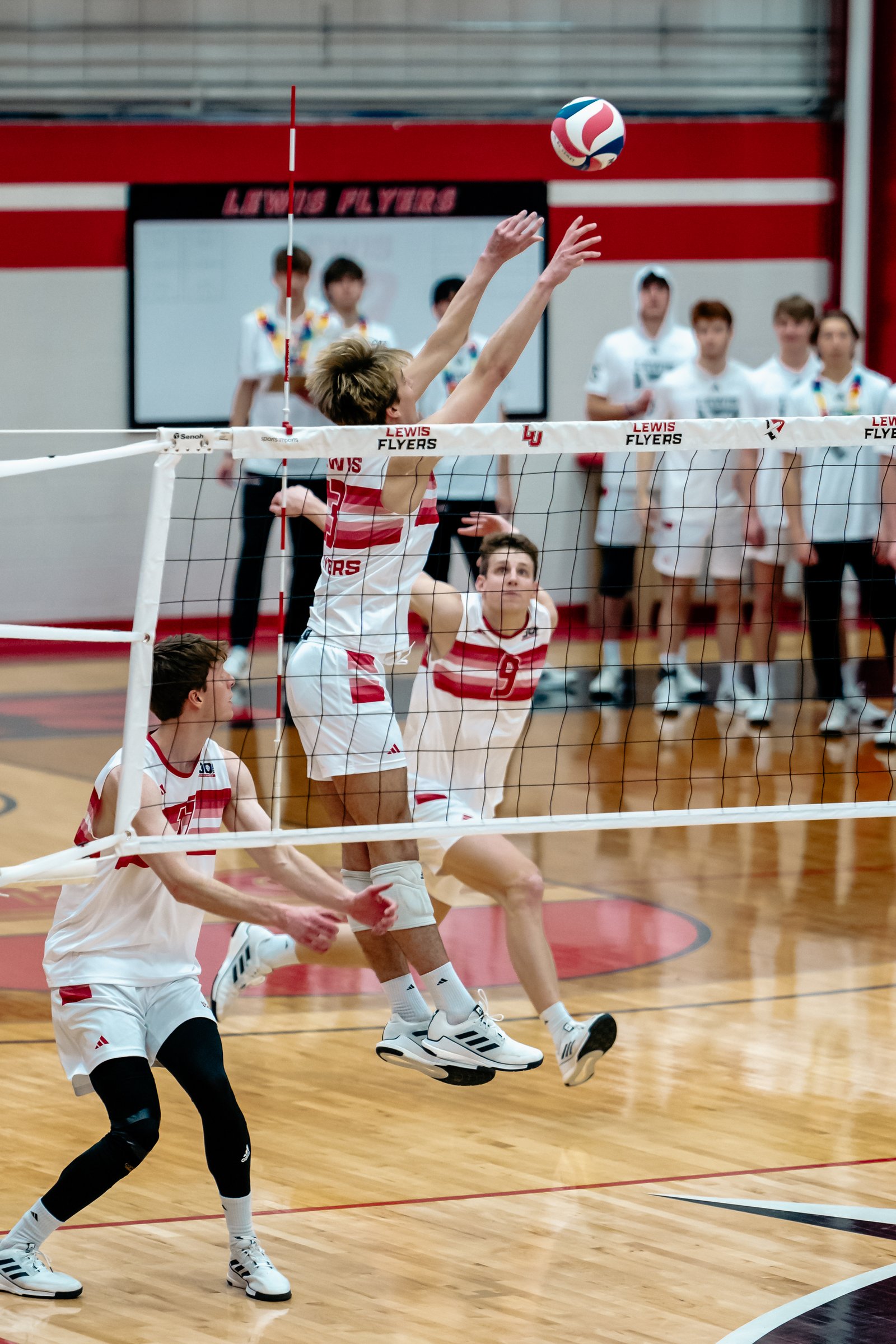2024 Men's VB - Lewis vs Lindenwood
