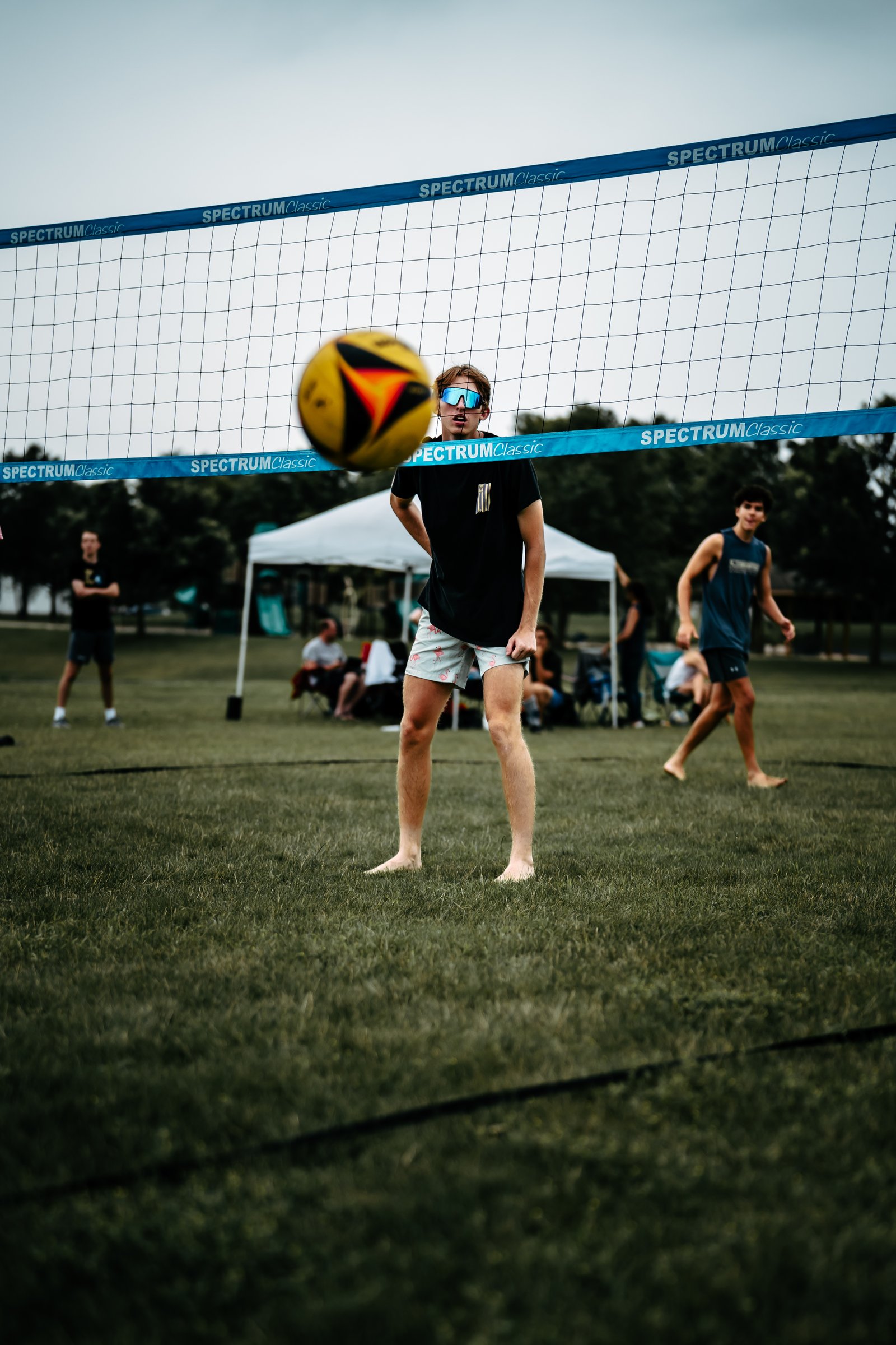 Bell Pepper Open – Official Gallery - Jan 1