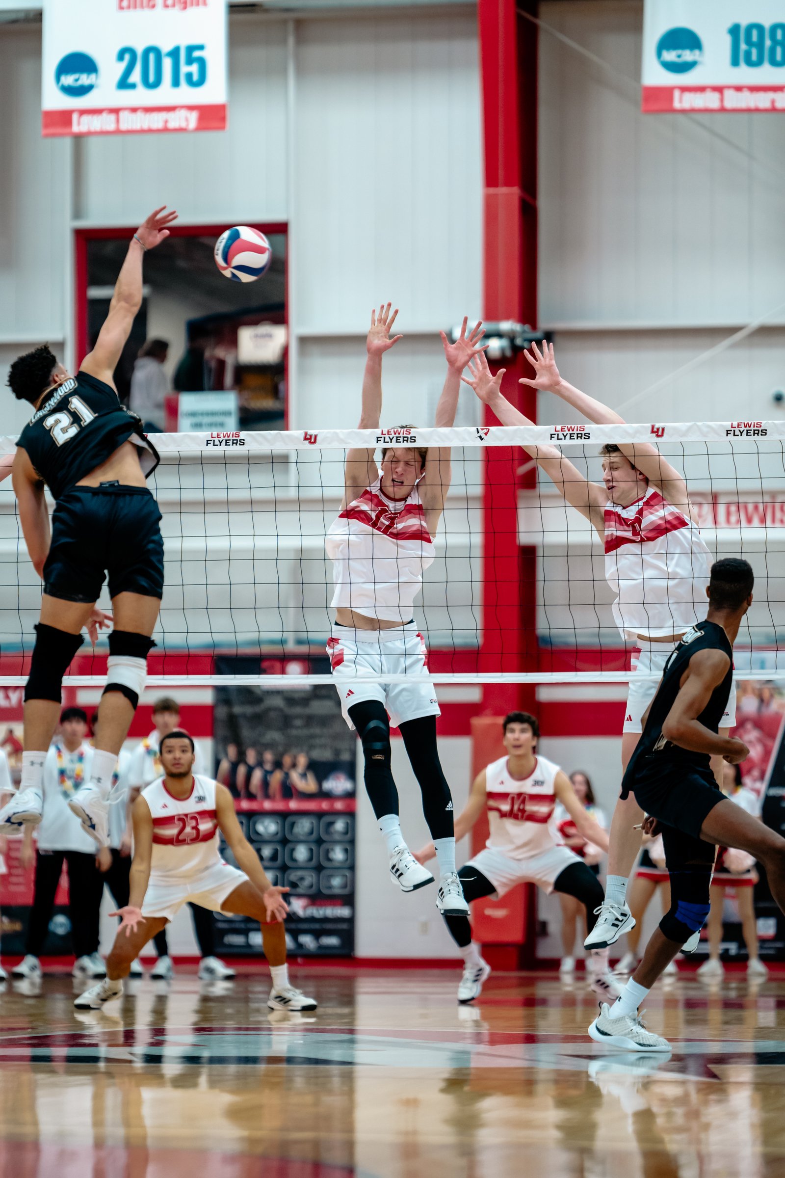 2024 Men's VB - Lewis vs Lindenwood