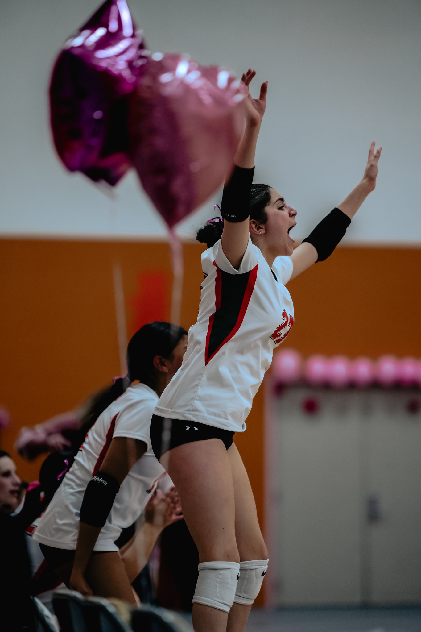 PEHS Girls VB - Dig Pink