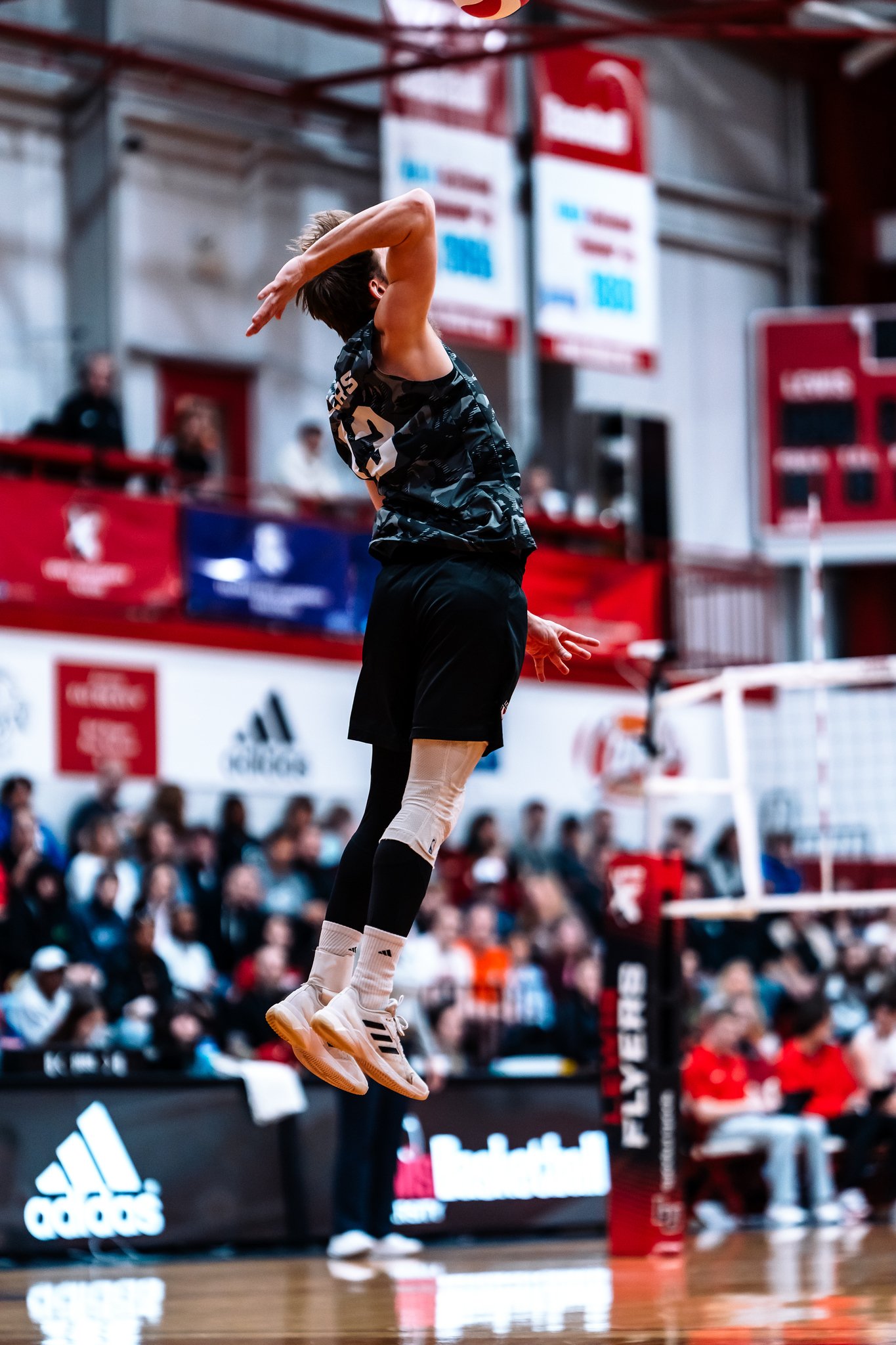 Lewis vs Ohio State - Mar 22