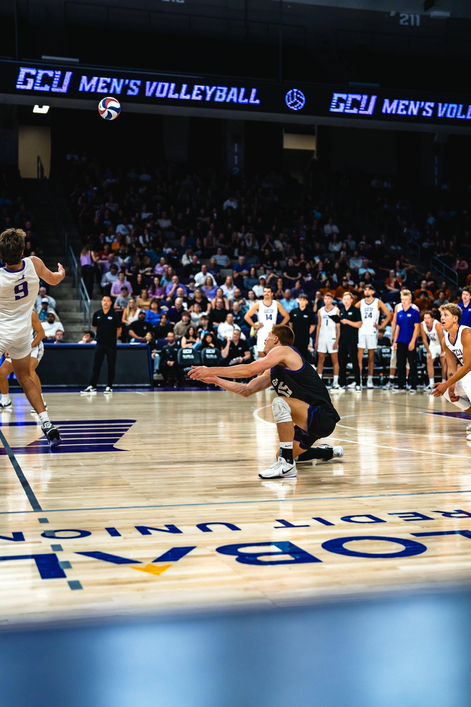 GCU vs UCLA