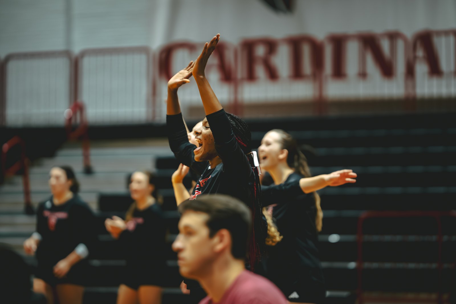 WVB - North Central vs Carthage