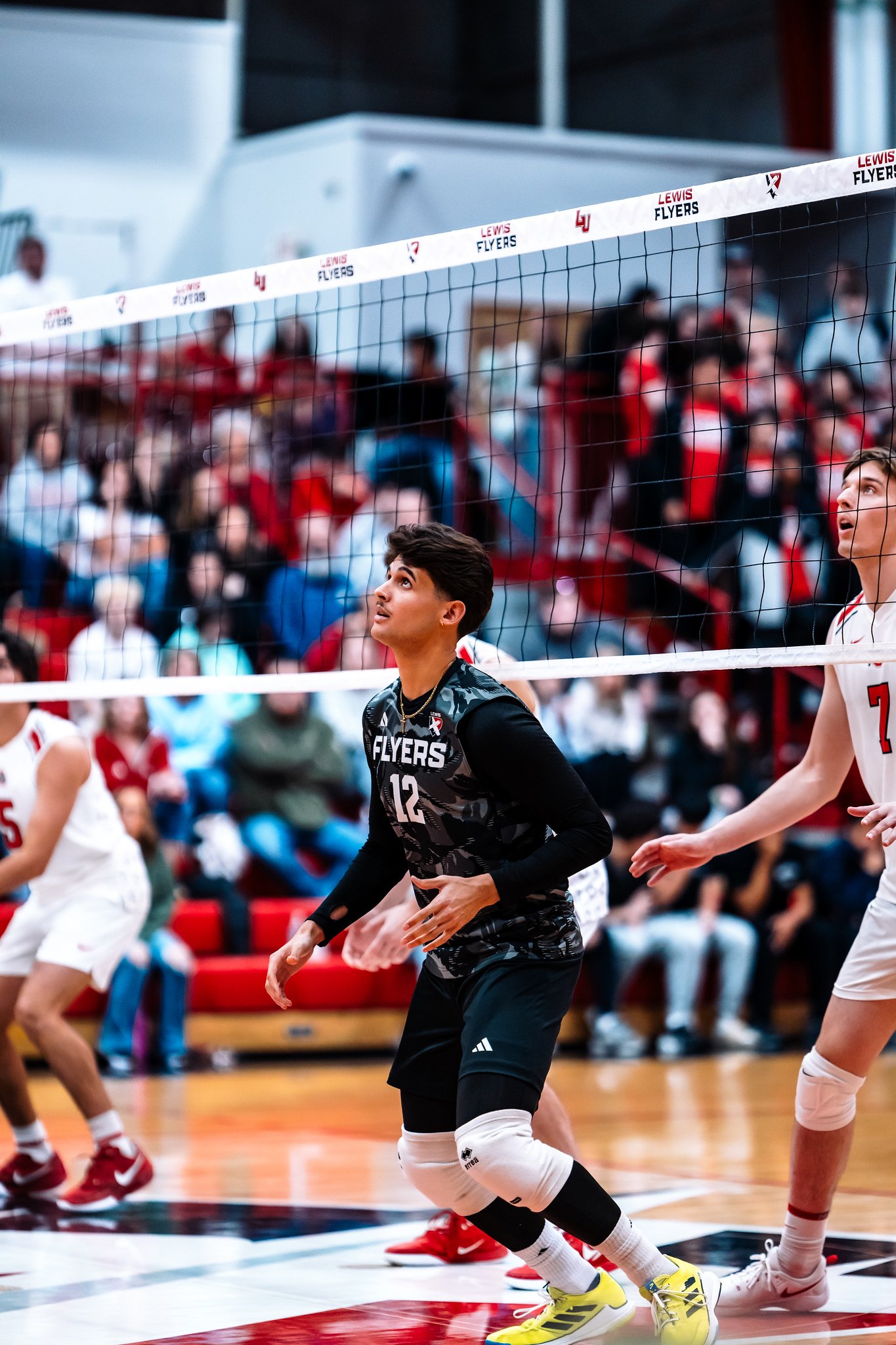 Lewis vs Ohio State - Mar 22