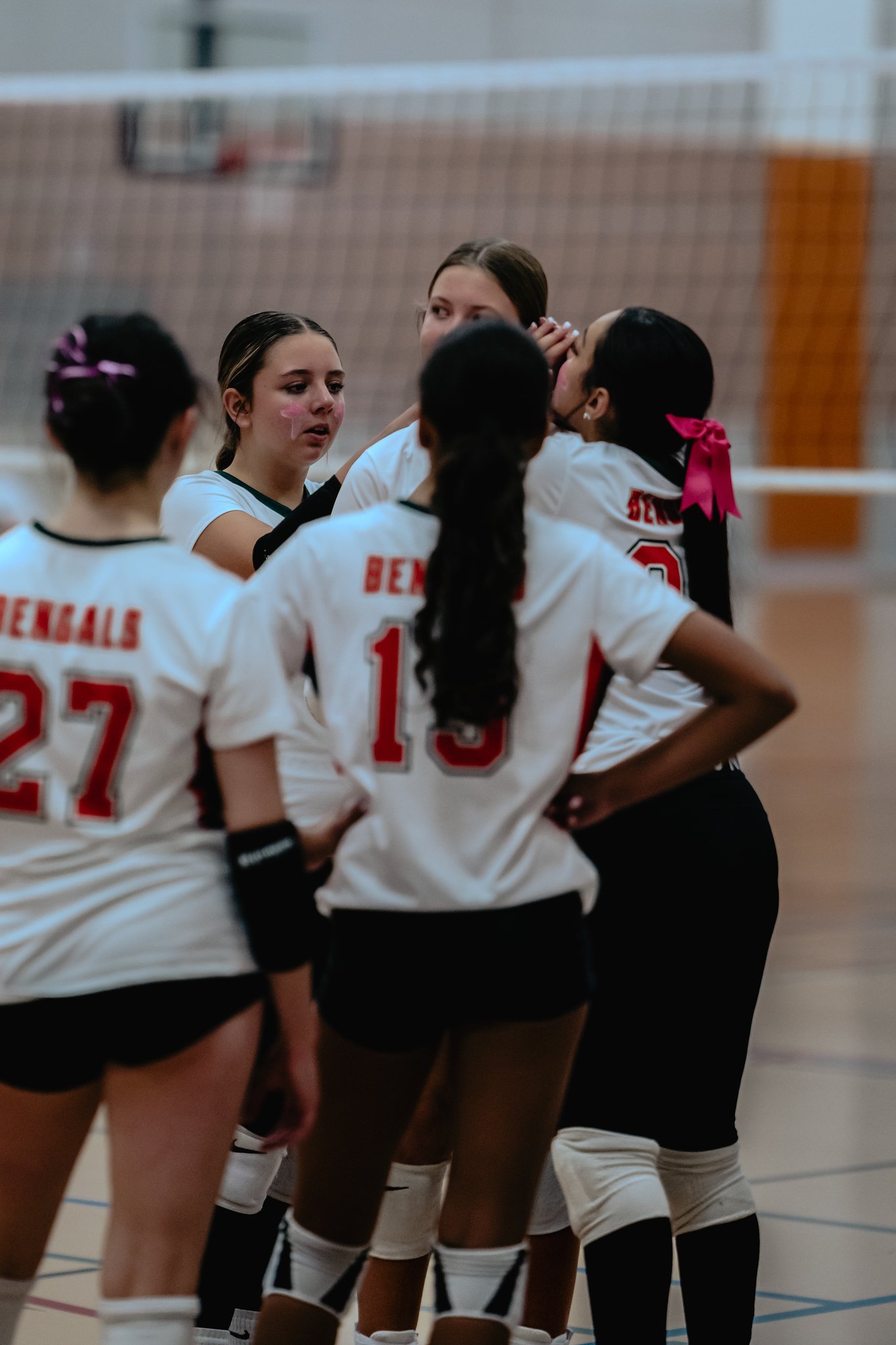 PEHS Girls VB - Dig Pink
