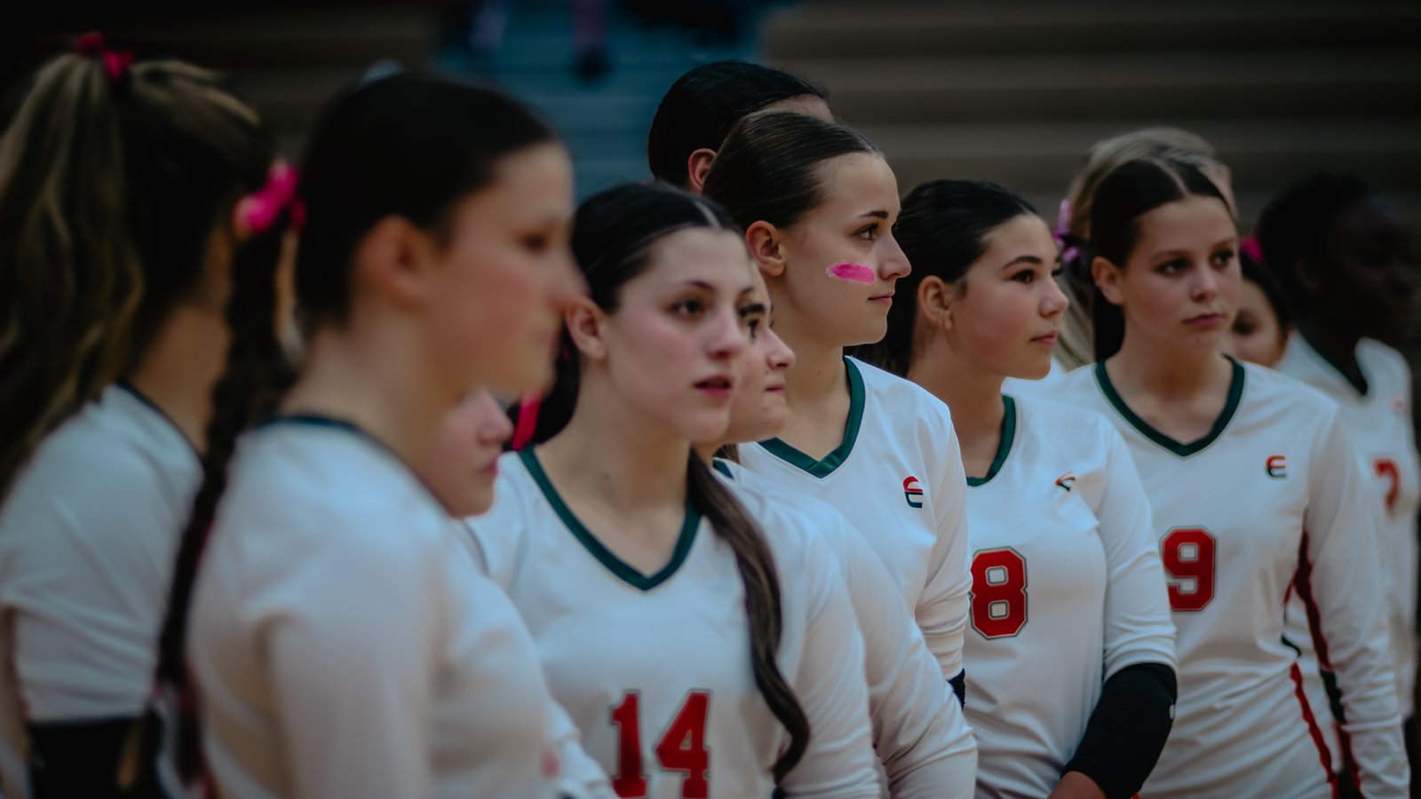 PEHS Girls VB - Dig Pink