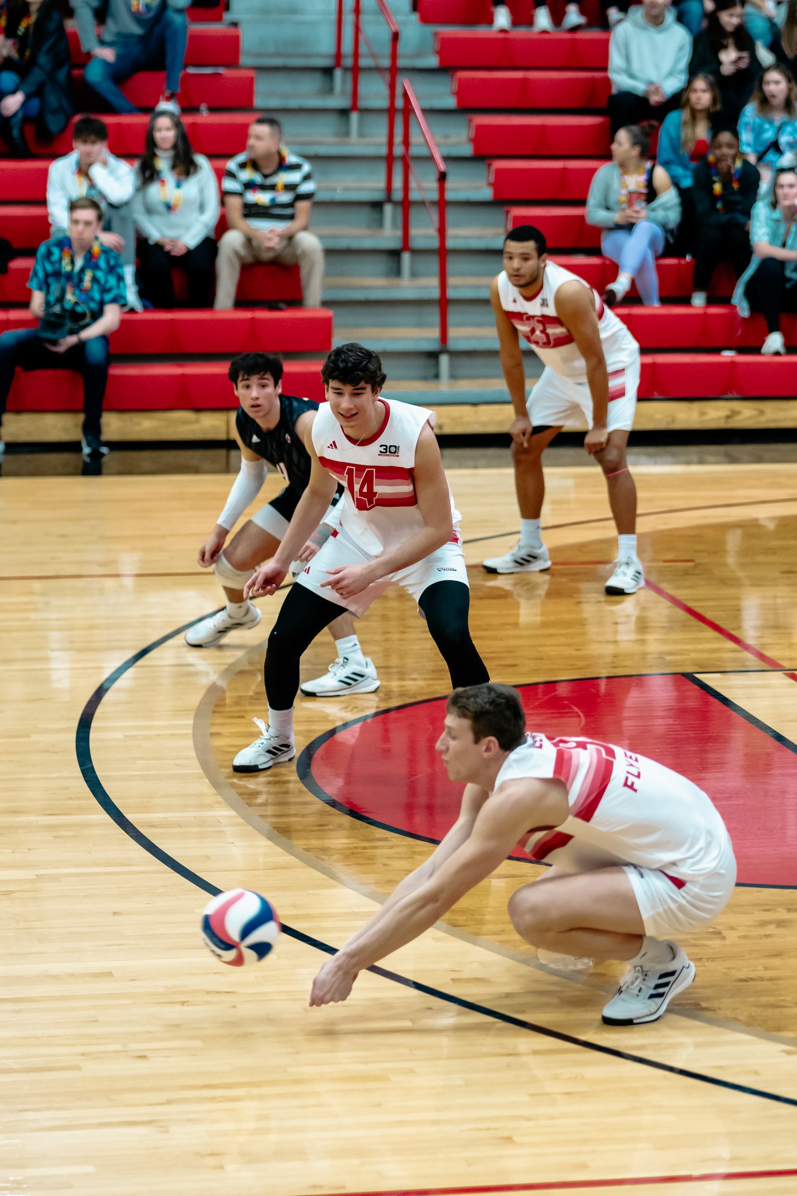 2024 Men's VB - Lewis vs Lindenwood