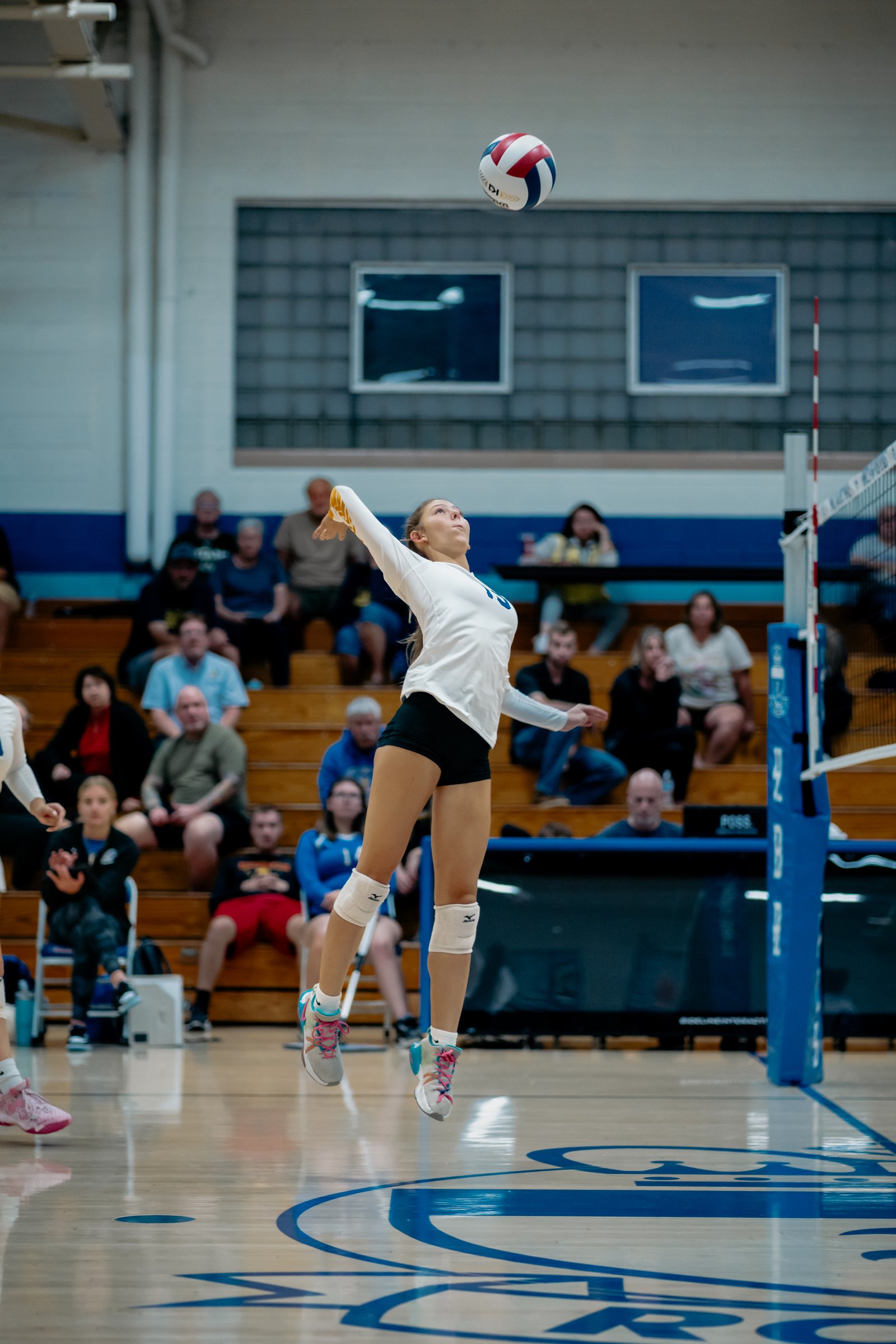 ACC Volleyball at Hinckley-Big Rock