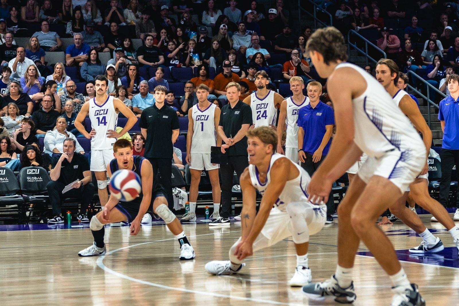 GCU vs UCLA