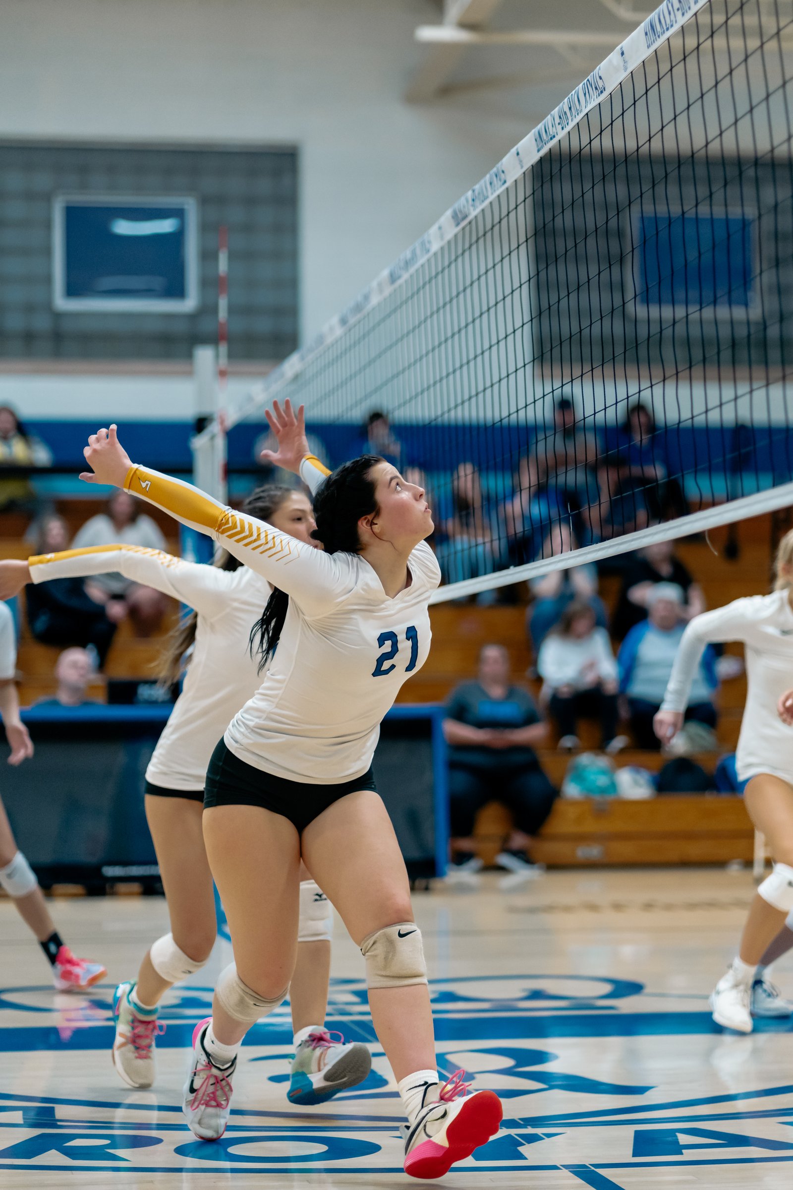 ACC Volleyball at Hinckley-Big Rock