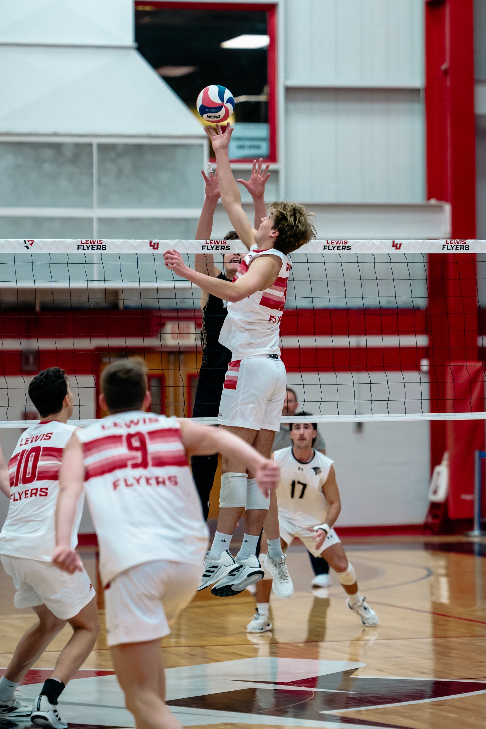 2024 Men's VB - Lewis vs Lindenwood