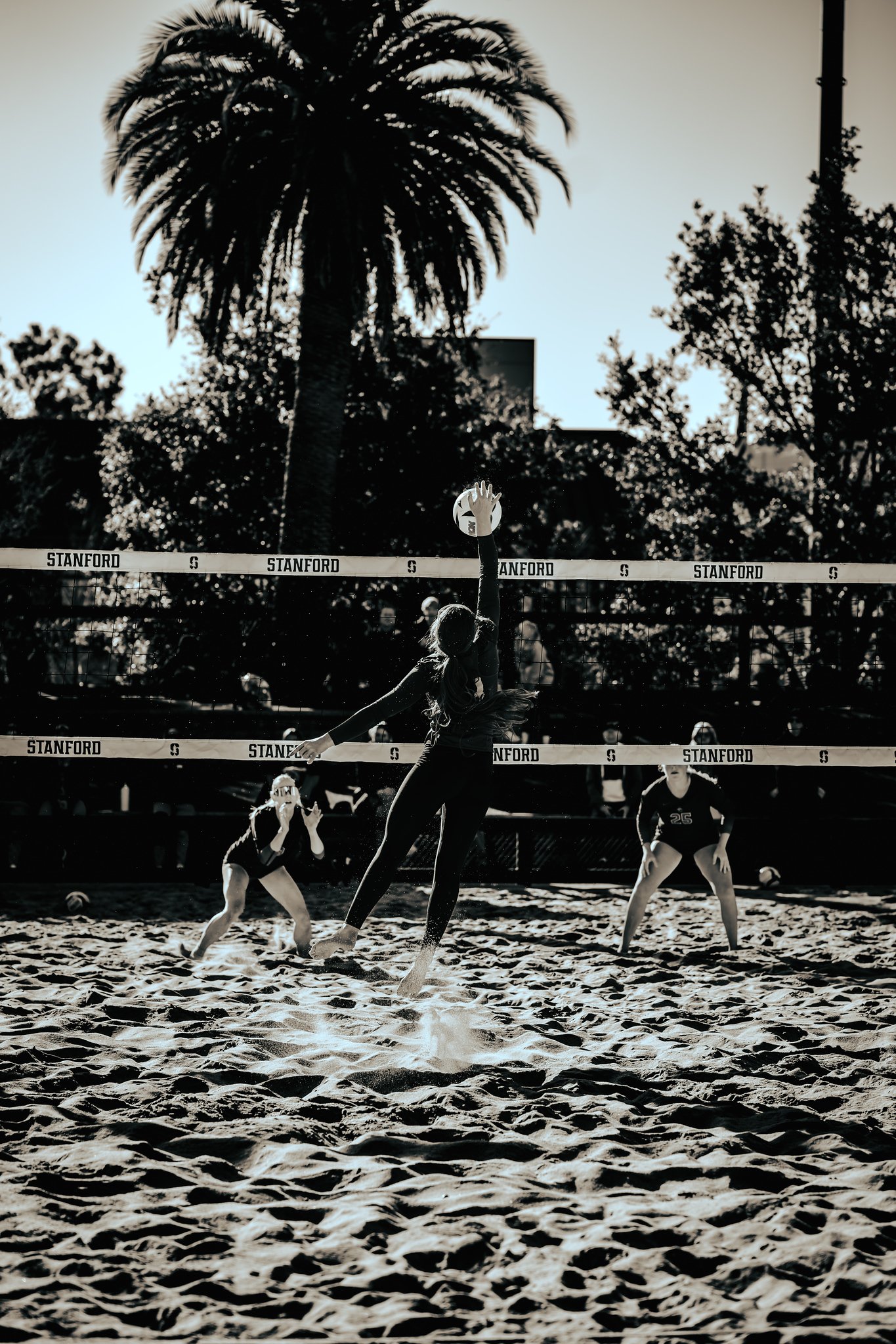 MPSF Rumble 2025