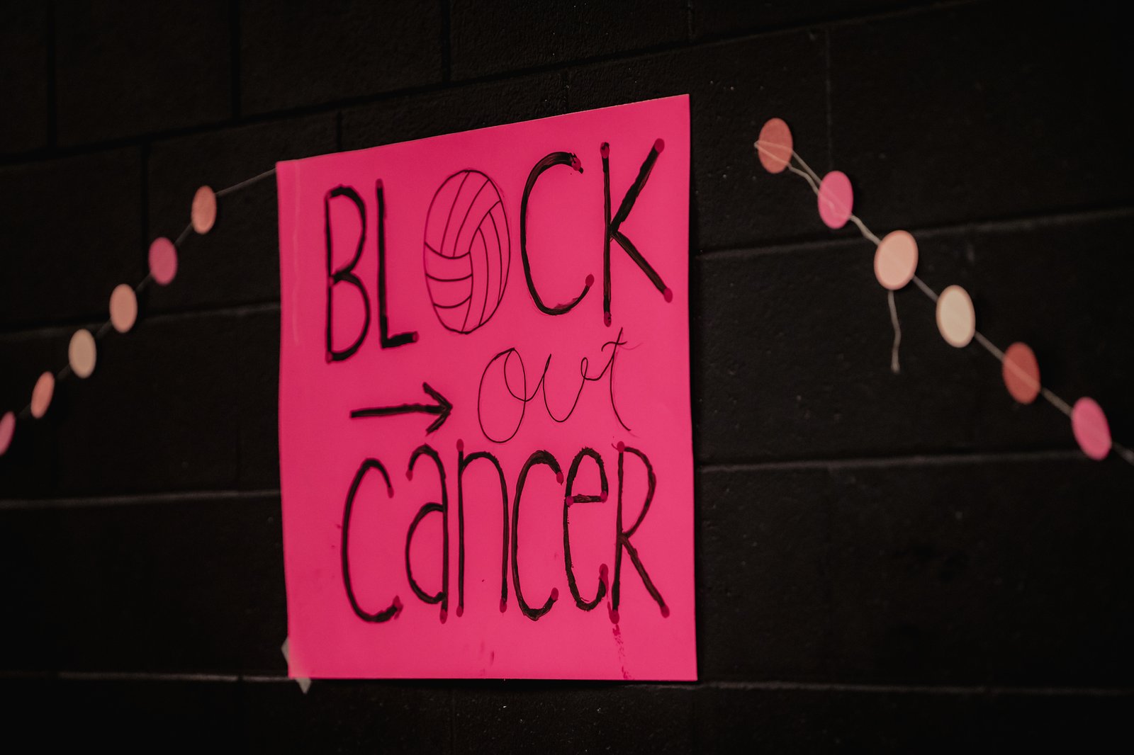 PEHS Girls VB - Dig Pink