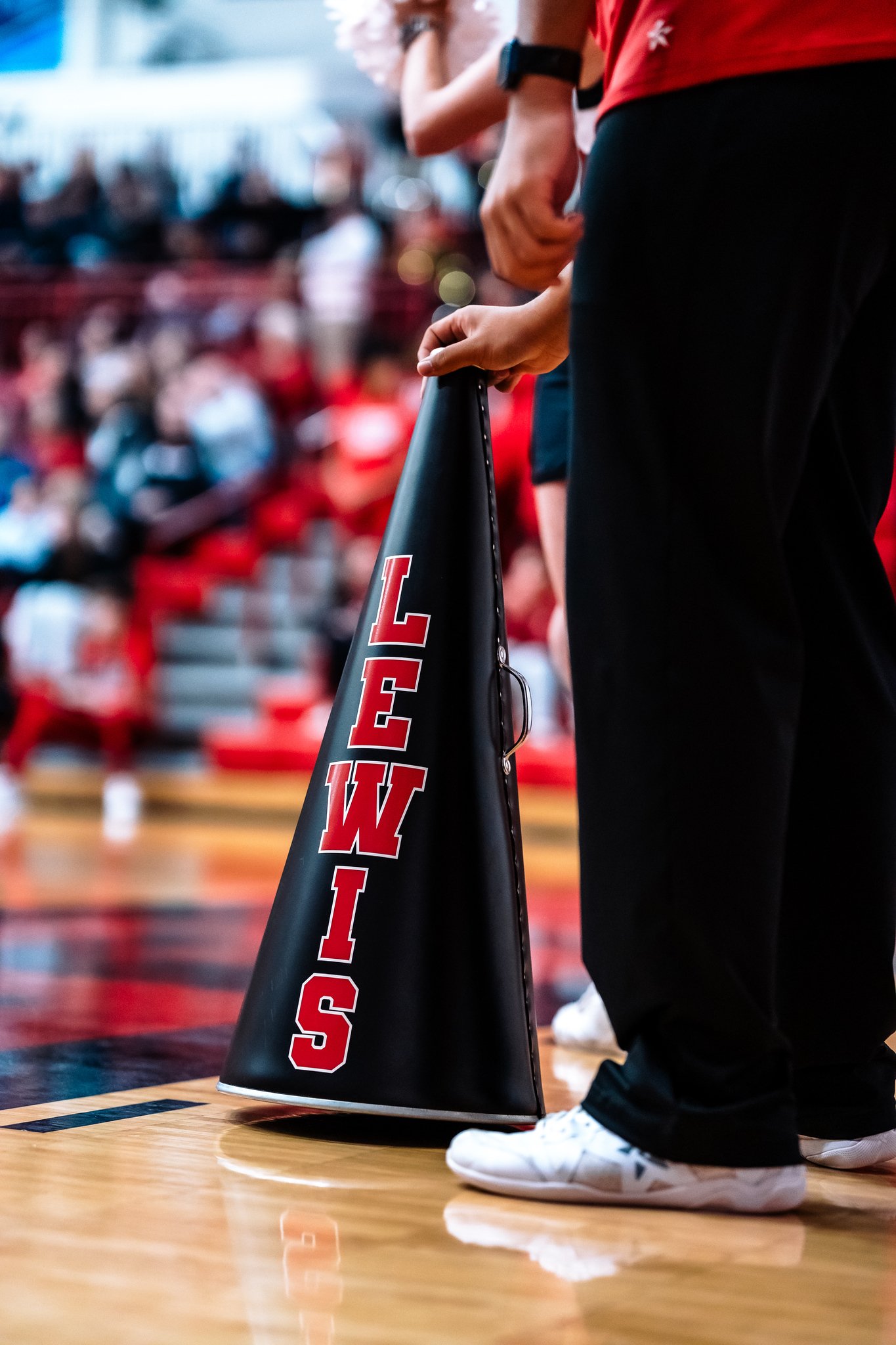 Lewis vs Ohio State - Mar 22
